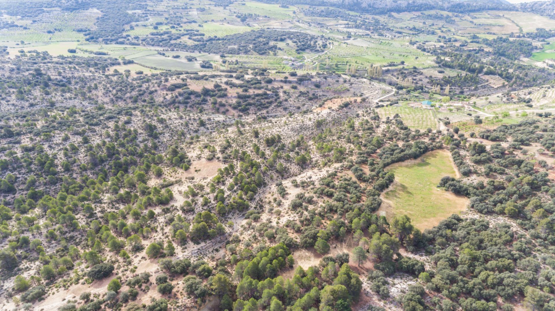 Casas o chalets-Venta-Castril-1683069-Foto-87