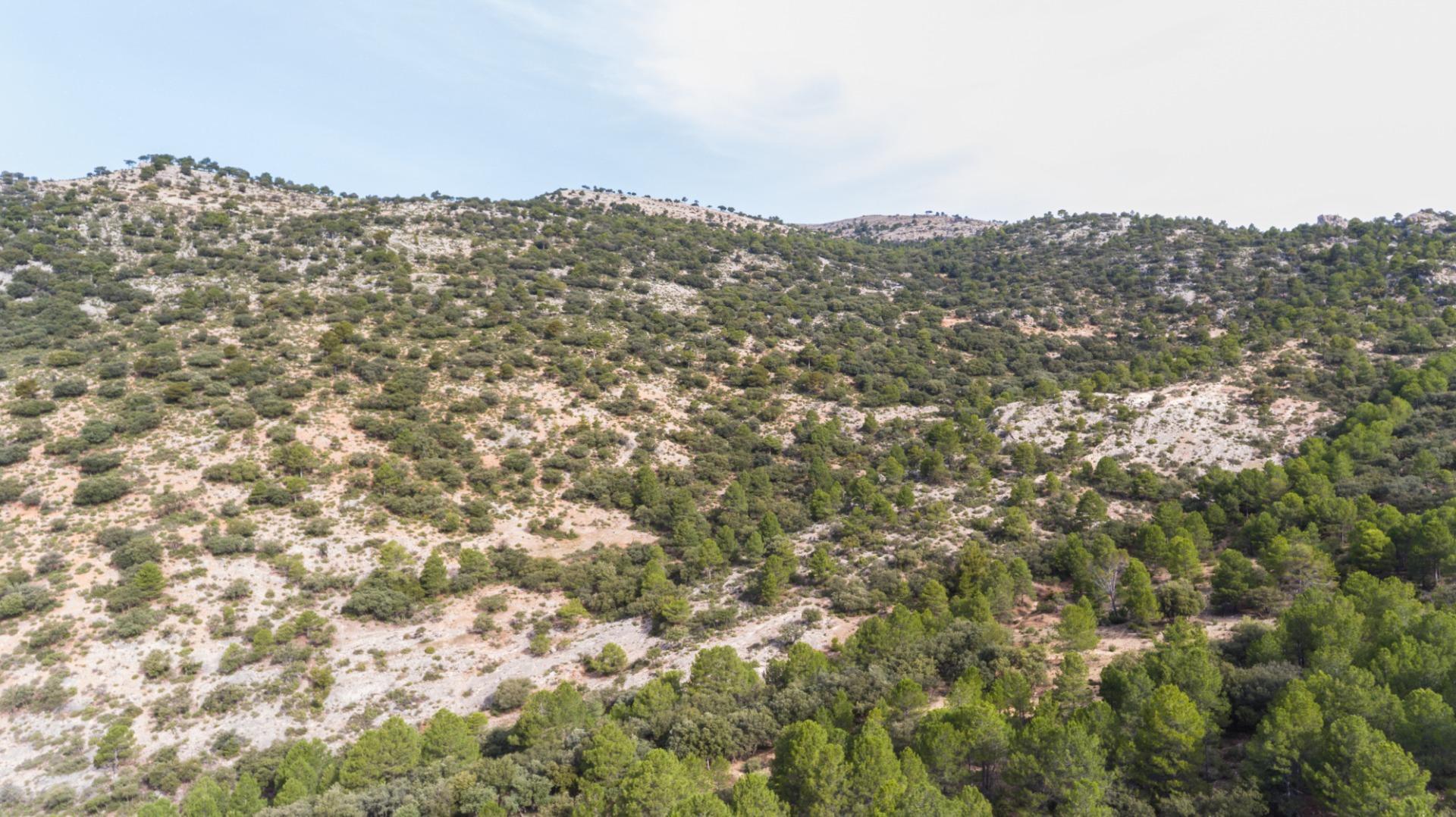 Casas o chalets-Venta-Castril-1683069-Foto-89