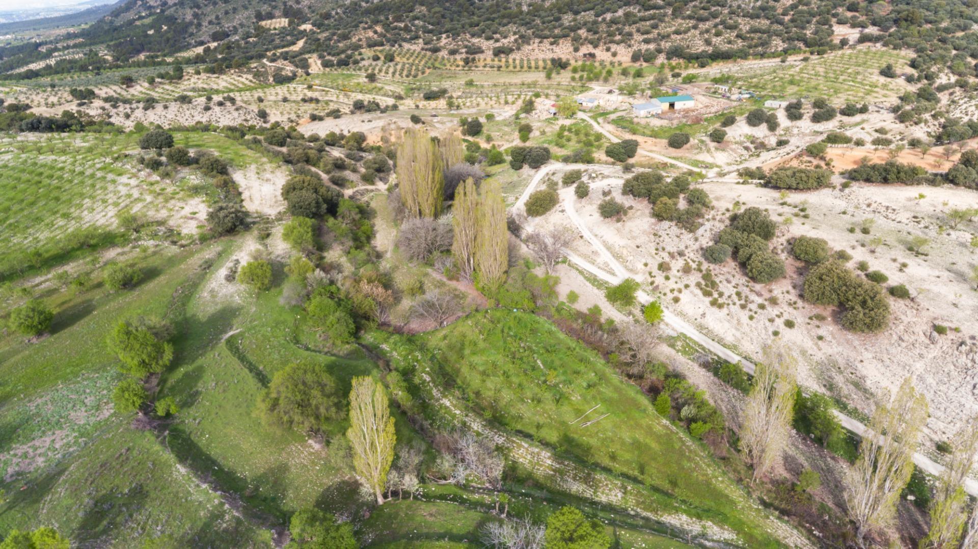 Casas o chalets-Venta-Castril-1683069-Foto-88