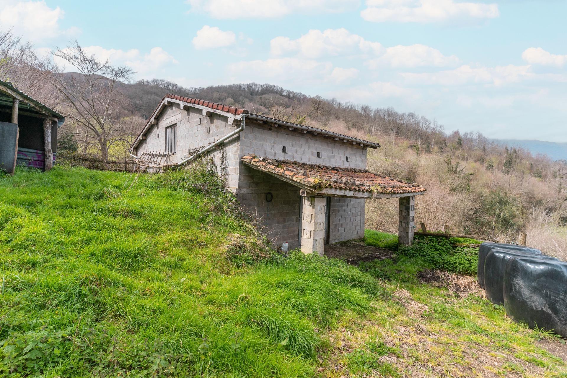 Fincas y solares-Venta-Riosa-1723378-Foto-14