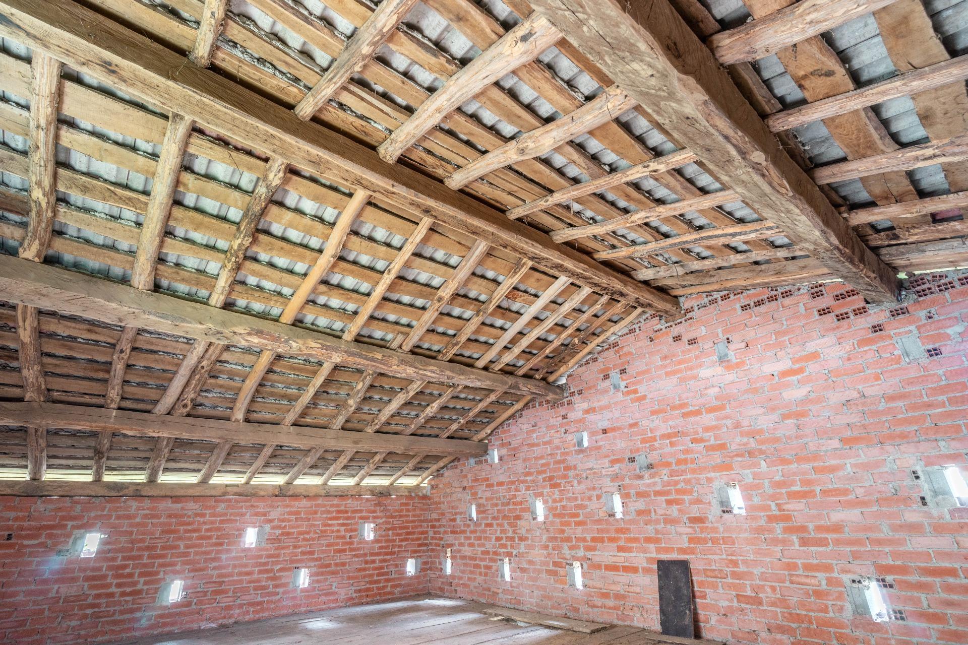 Fincas y solares-Venta-Riosa-1723378-Foto-13