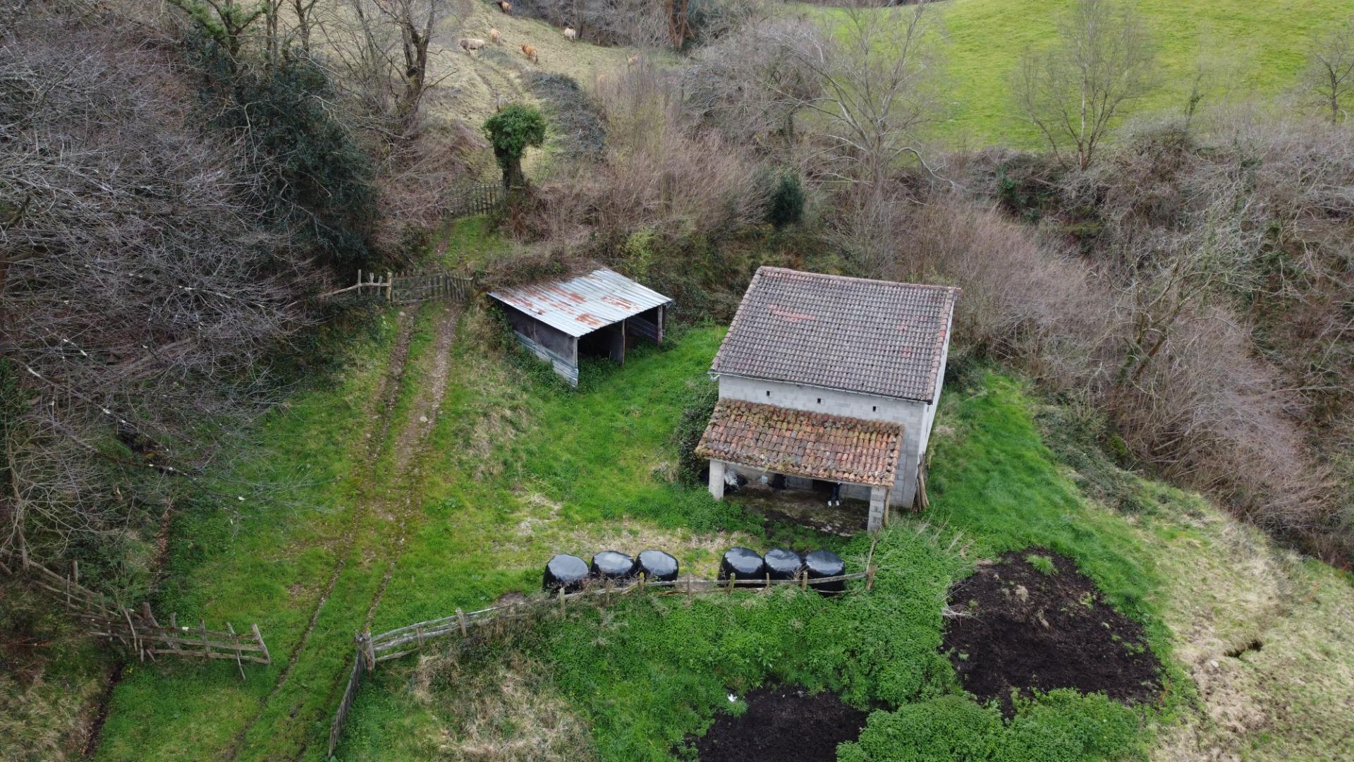 Fincas y solares-Venta-Riosa-1723378-Foto-9