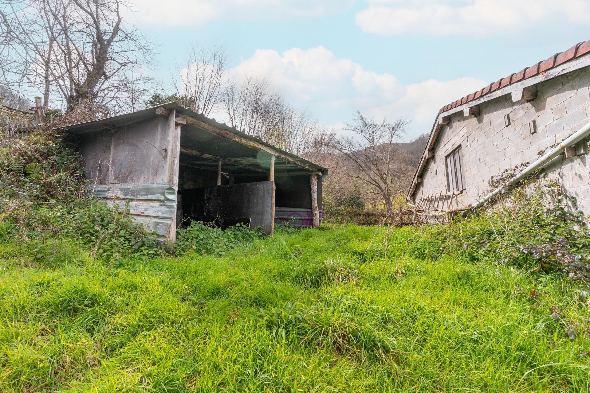 Fincas y solares-Venta-Riosa-1723378-Foto-15