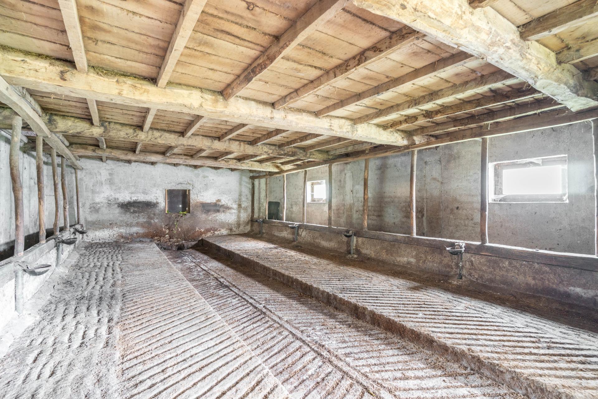 Fincas y solares-Venta-Riosa-1723378-Foto-21