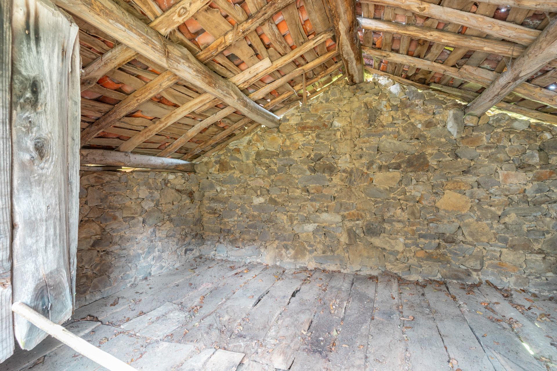Fincas y solares-Venta-Riosa-1723378-Foto-36
