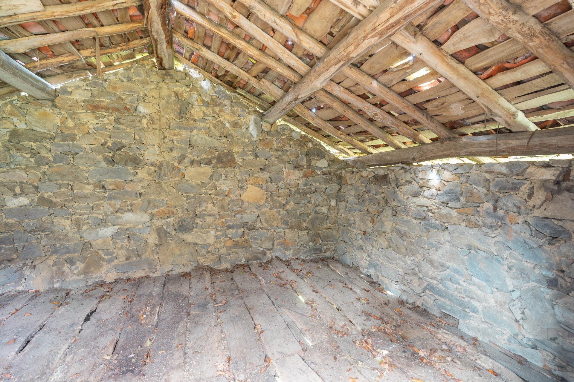 Fincas y solares-Venta-Riosa-1723378-Foto-37