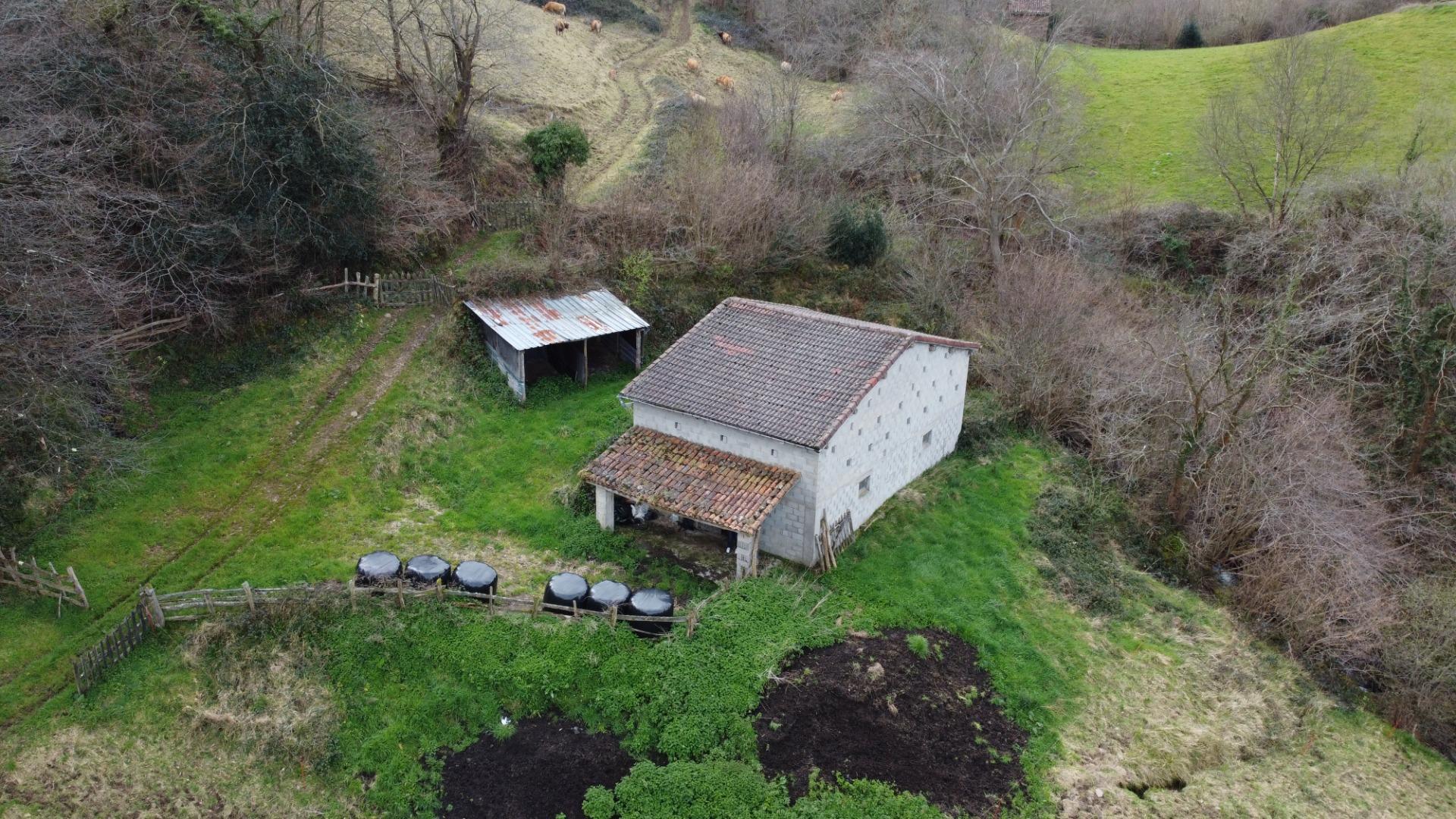 Fincas y solares-Venta-Riosa-1723378-Foto-32