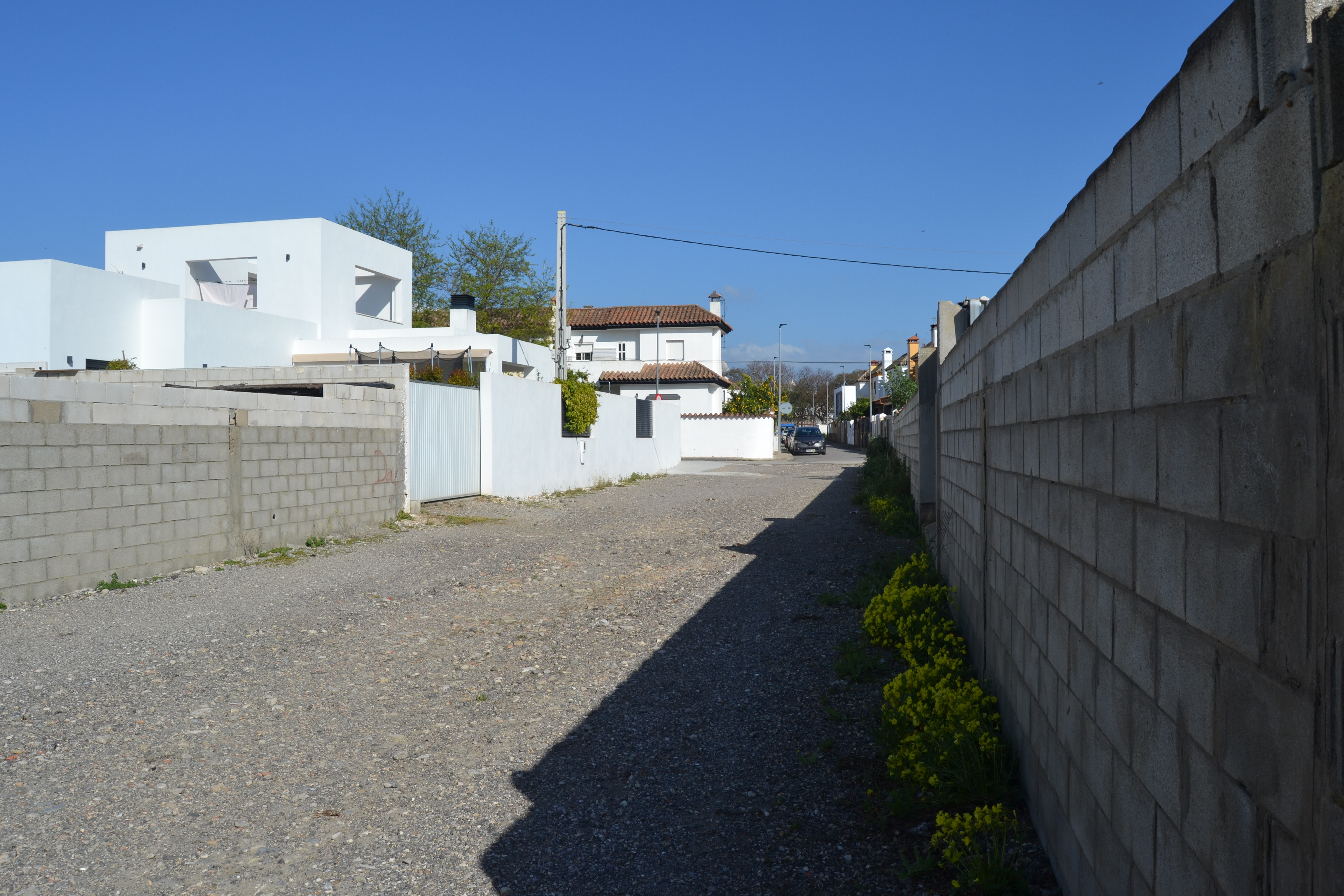 Fincas y solares-Venta-Chiclana de la Frontera-1717077-Foto-3