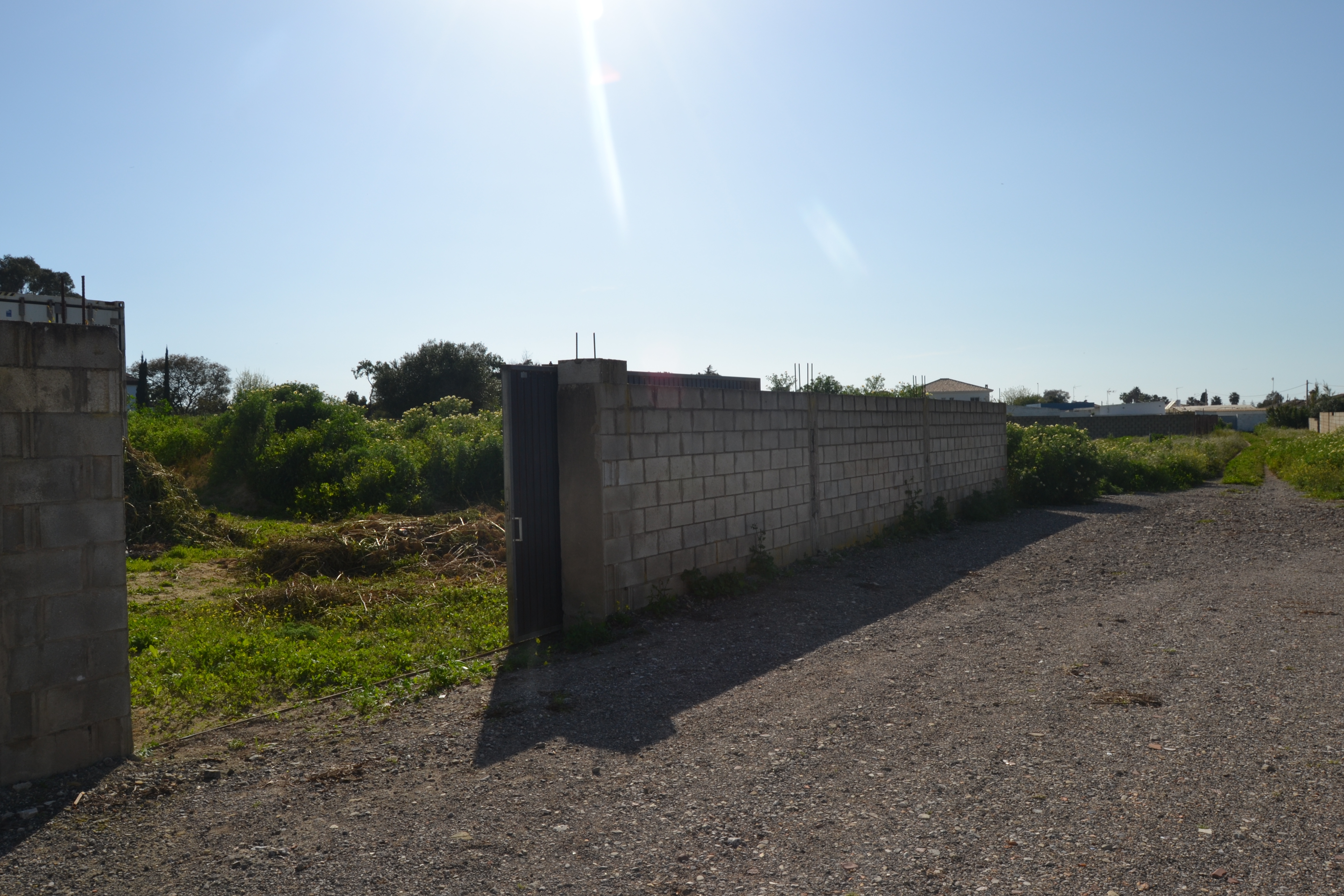 Fincas y solares-Venta-Chiclana de la Frontera-1717077-Foto-2