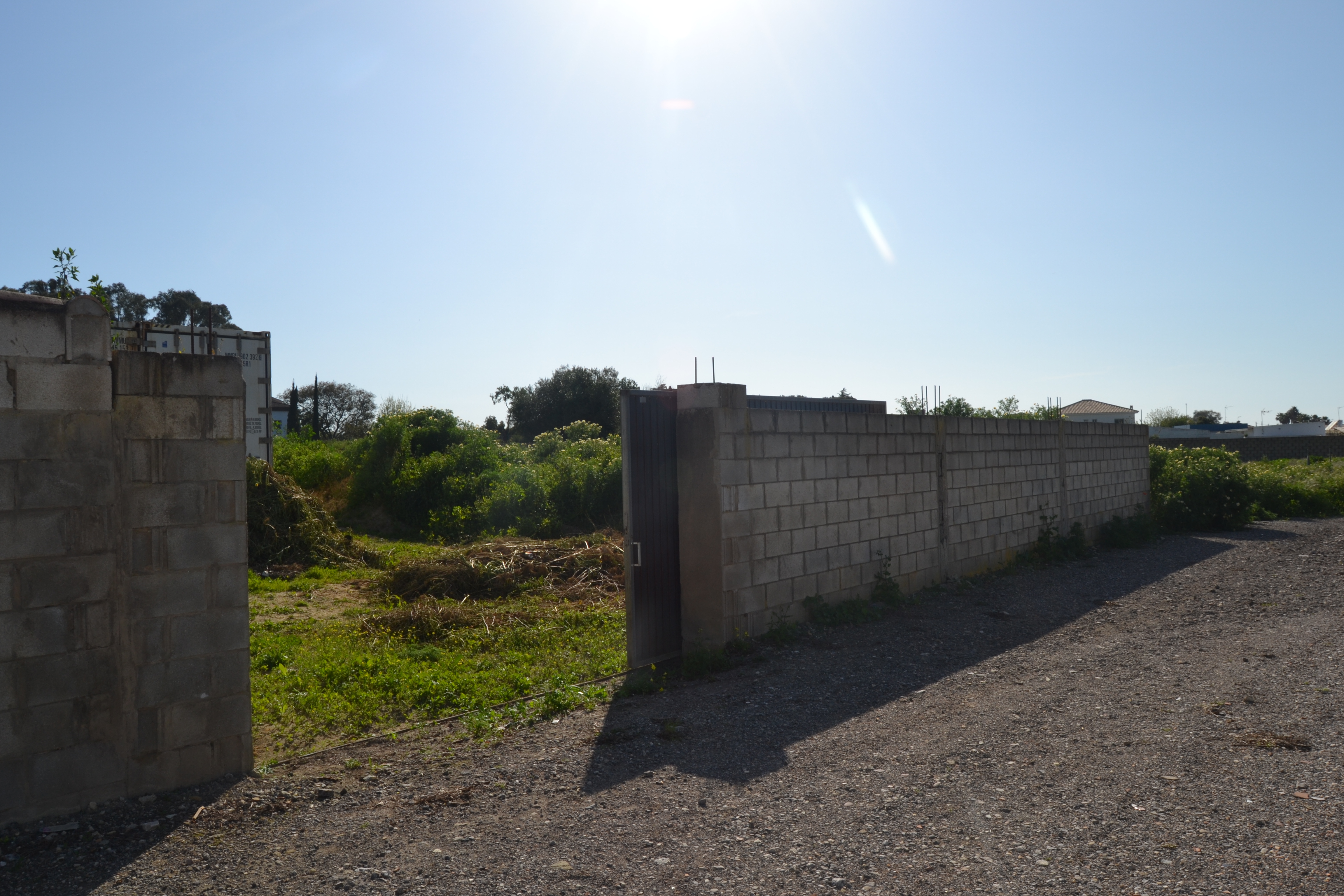 Fincas y solares-Venta-Chiclana de la Frontera-1717077-Foto-5