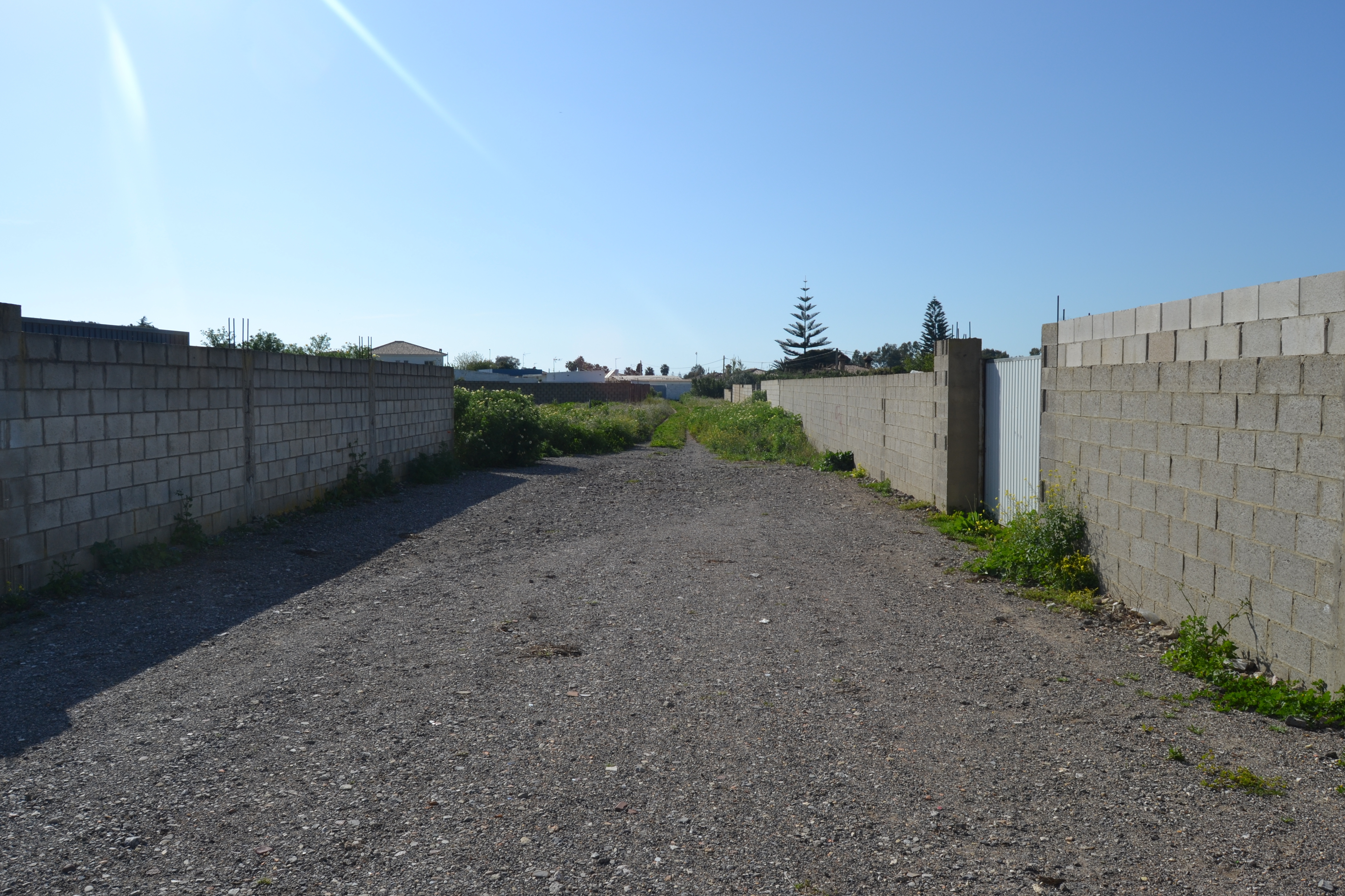 Fincas y solares-Venta-Chiclana de la Frontera-1717077-Foto-4