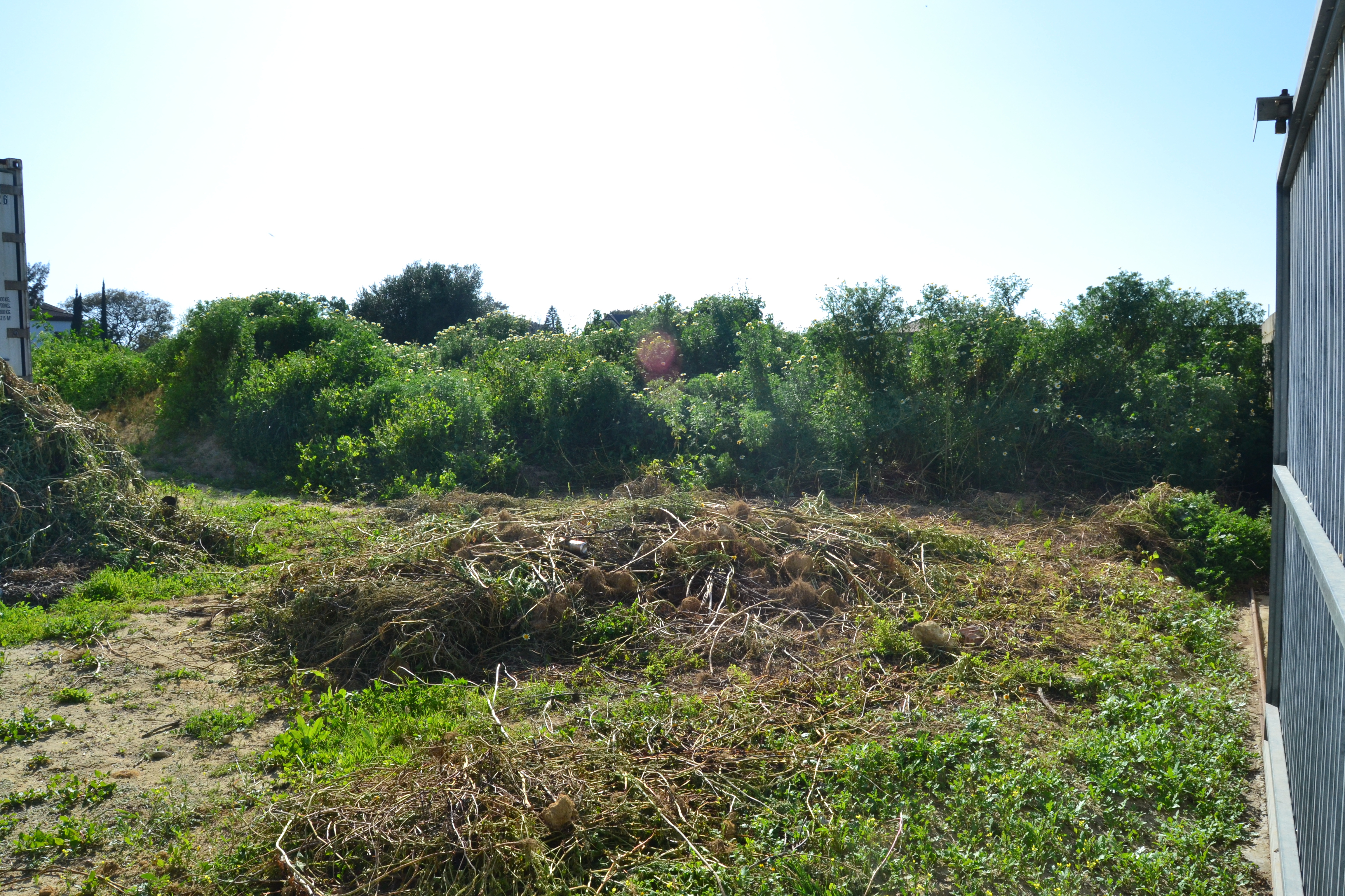 Fincas y solares-Venta-Chiclana de la Frontera-1717077-Foto-8