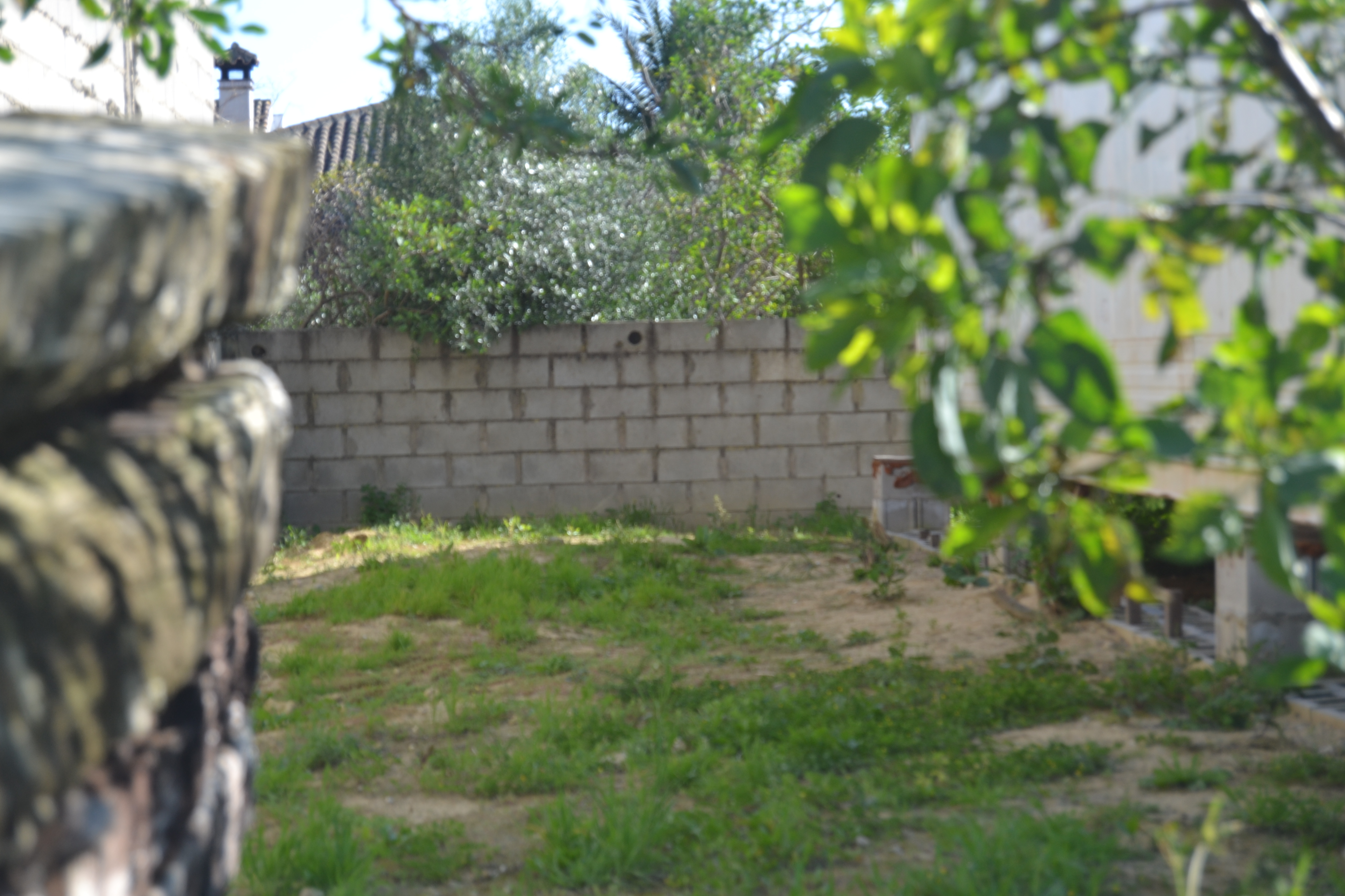 Fincas y solares-Venta-Chiclana de la Frontera-1717077-Foto-9