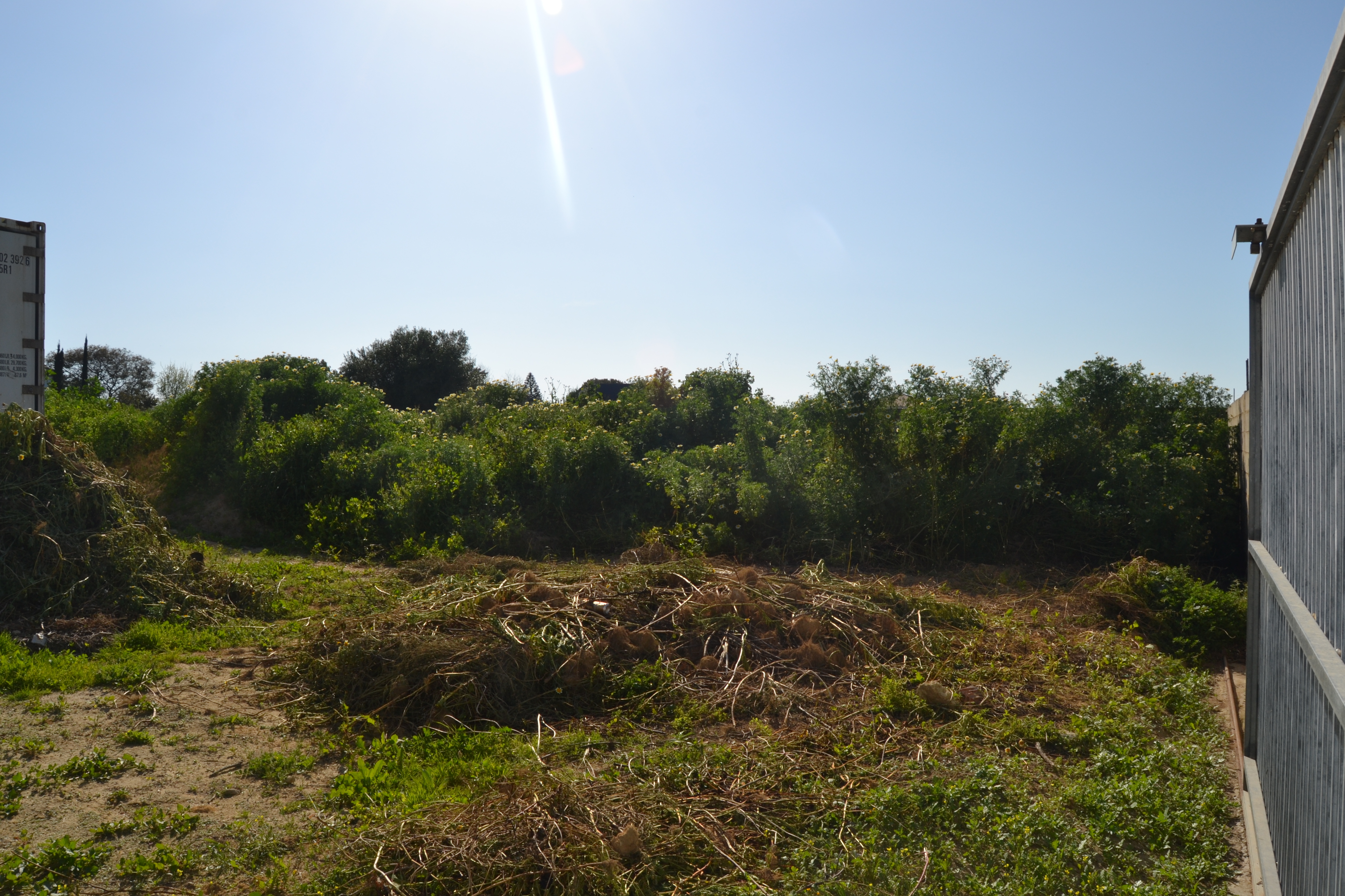Fincas y solares-Venta-Chiclana de la Frontera-1717077-Foto-12