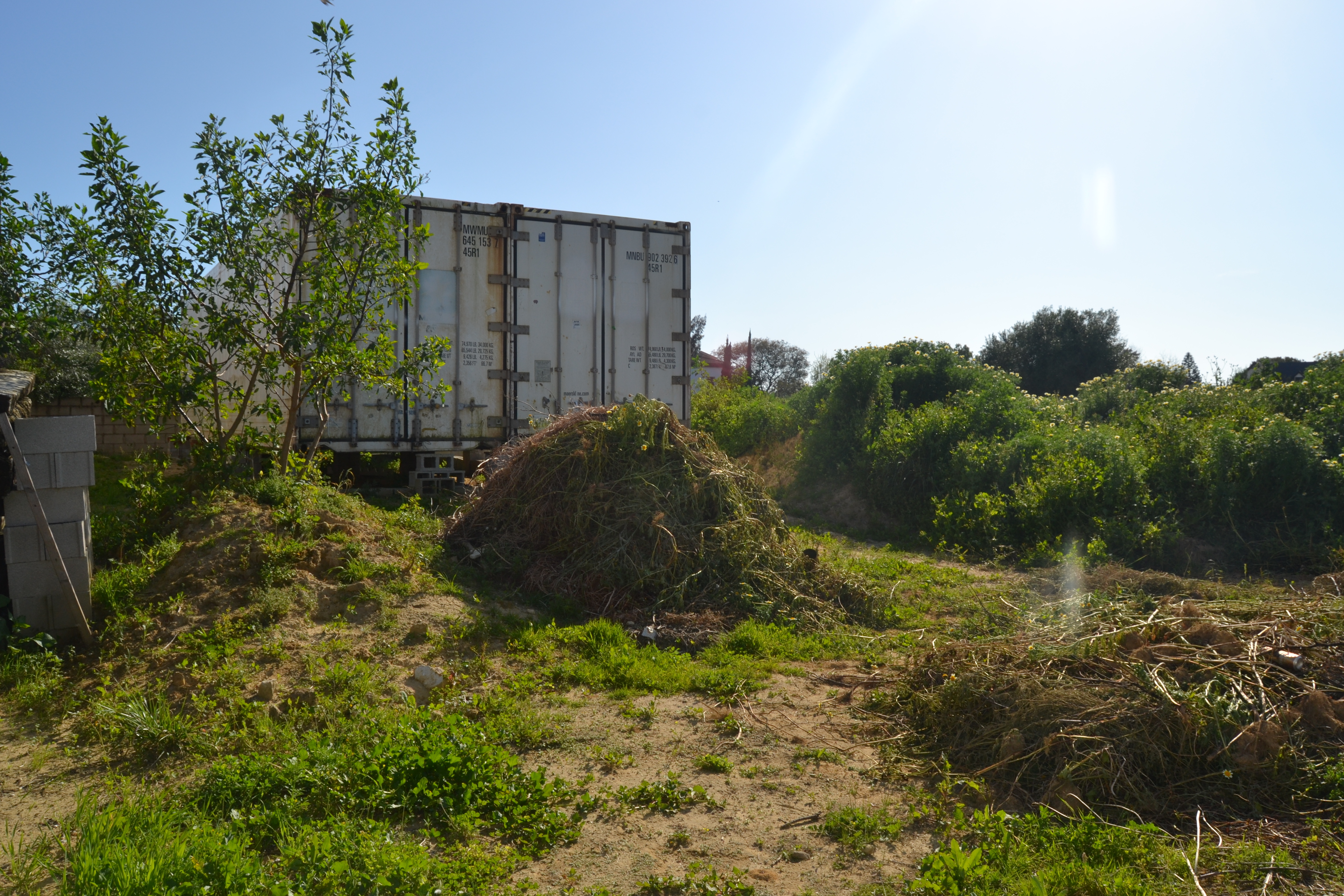 Fincas y solares-Venta-Chiclana de la Frontera-1717077-Foto-11