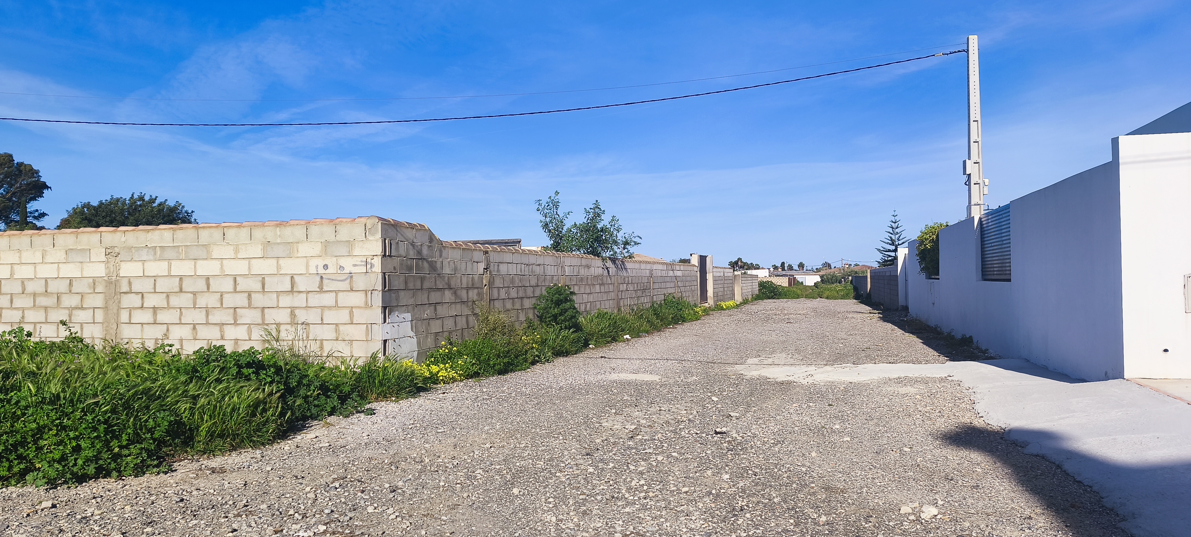 Fincas y solares-Venta-Chiclana de la Frontera-1717077-Foto-16