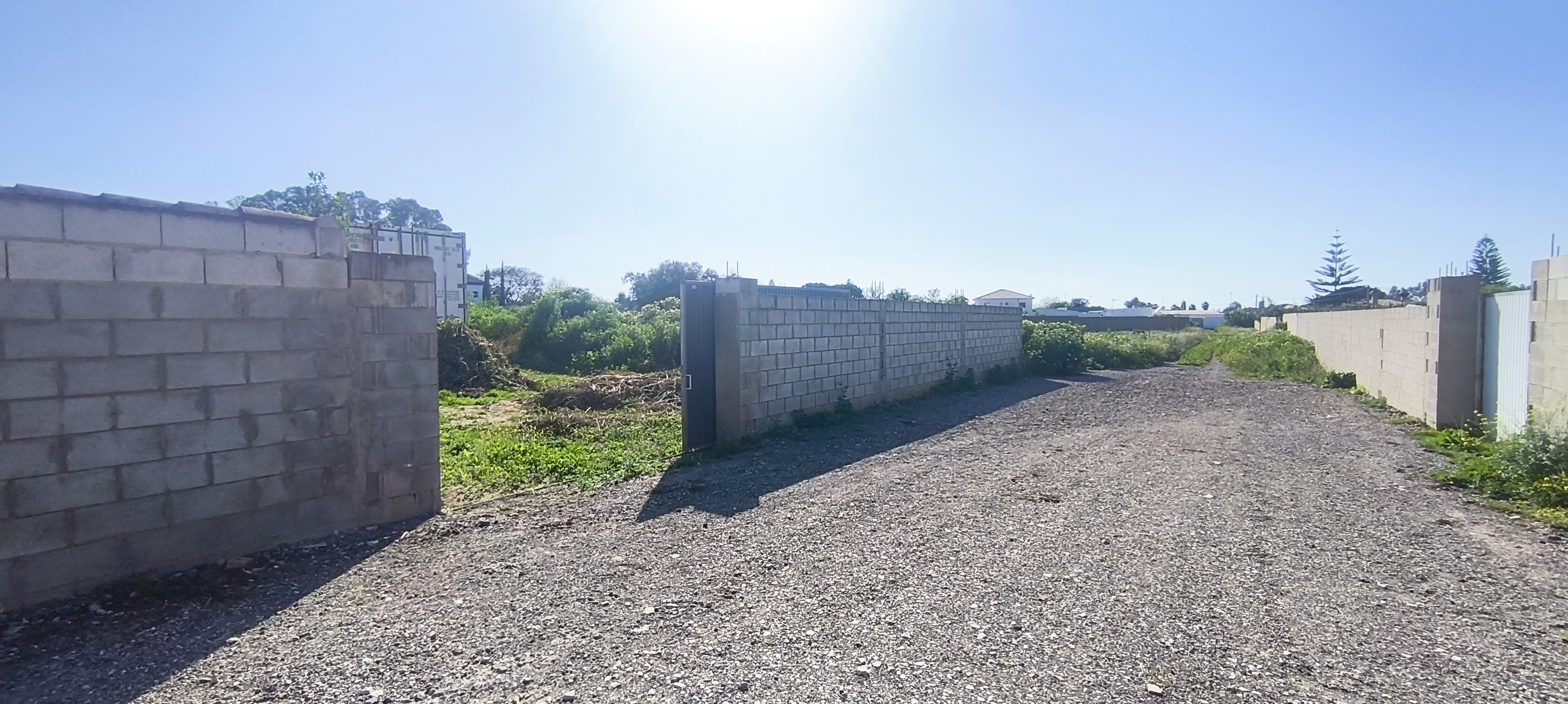 Fincas y solares-Venta-Chiclana de la Frontera-1717077-Foto-17