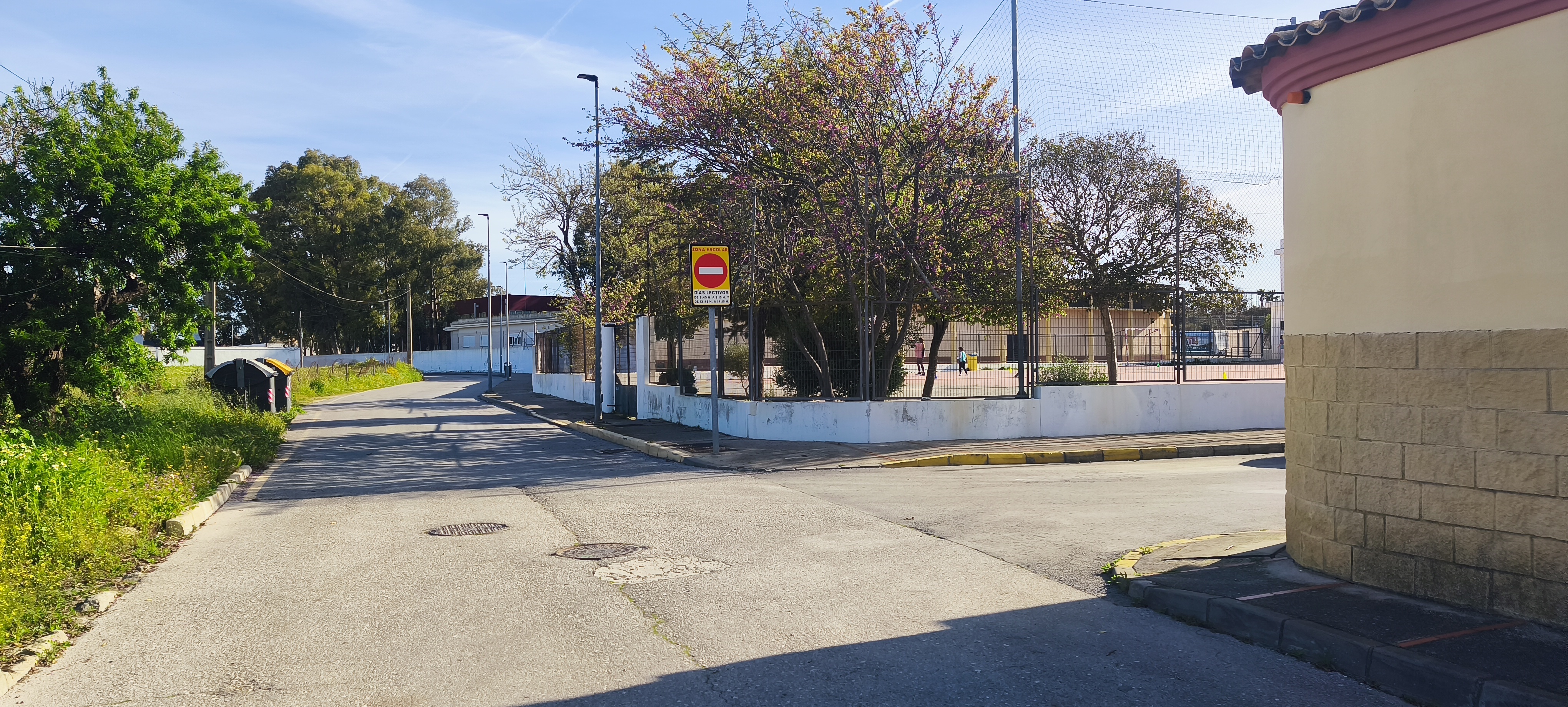 Fincas y solares-Venta-Chiclana de la Frontera-1717077-Foto-19
