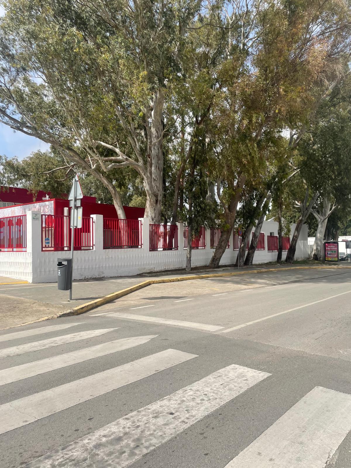 Fincas y solares-Venta-Chiclana de la Frontera-1717077-Foto-25