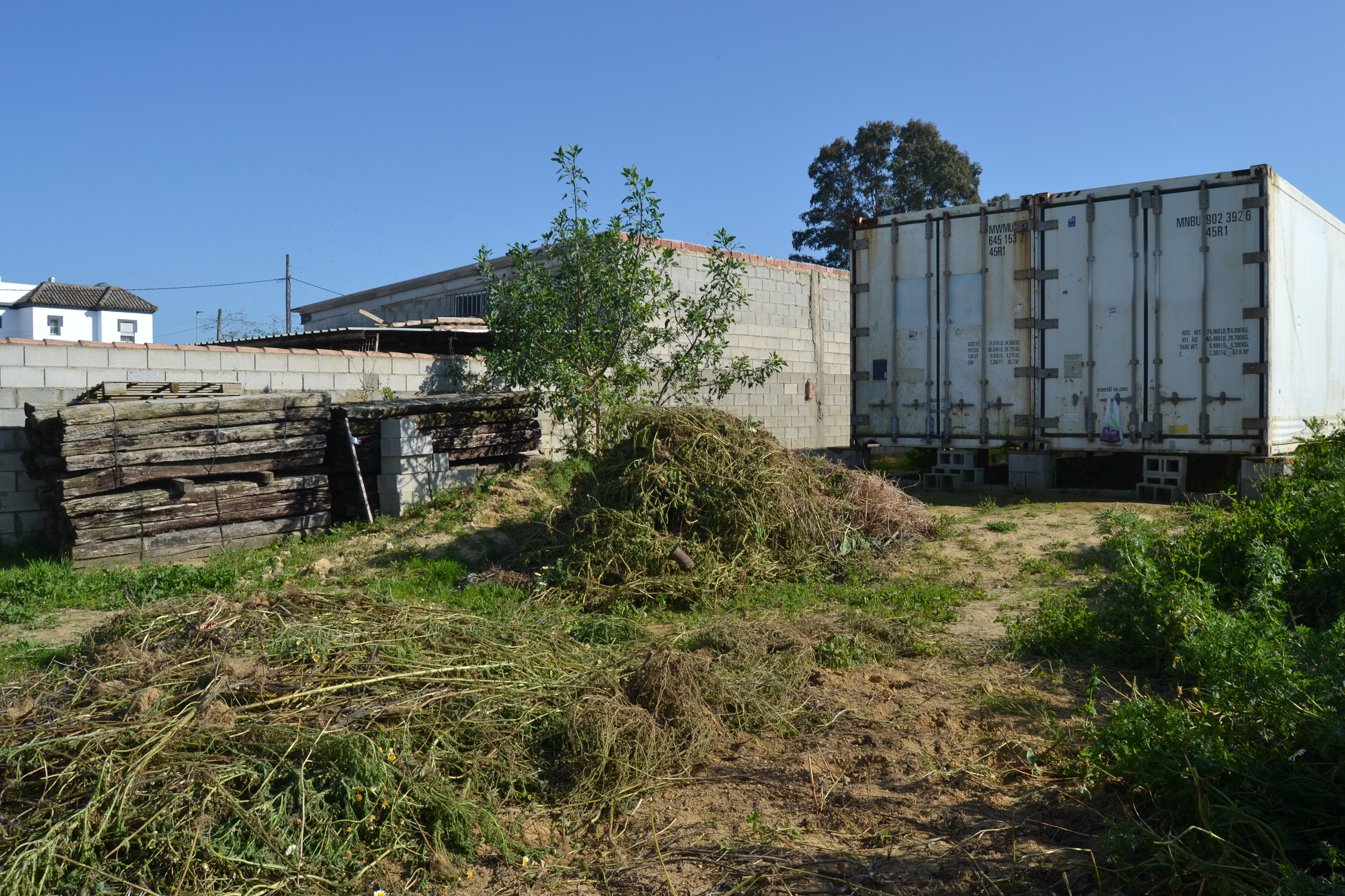 Fincas y solares-Venta-Chiclana de la Frontera-1717077-Foto-27