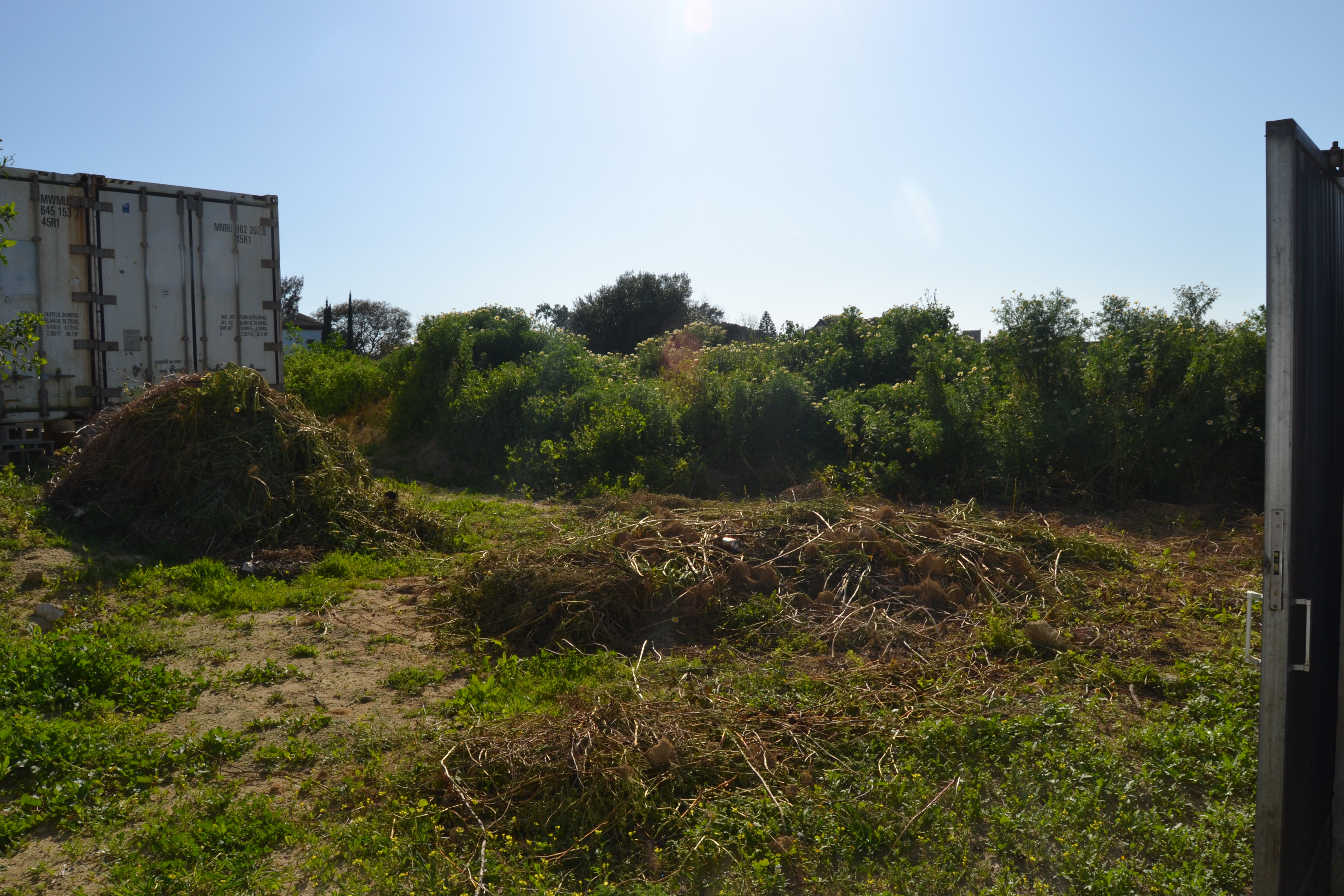 Fincas y solares-Venta-Chiclana de la Frontera-1717077-Foto-28