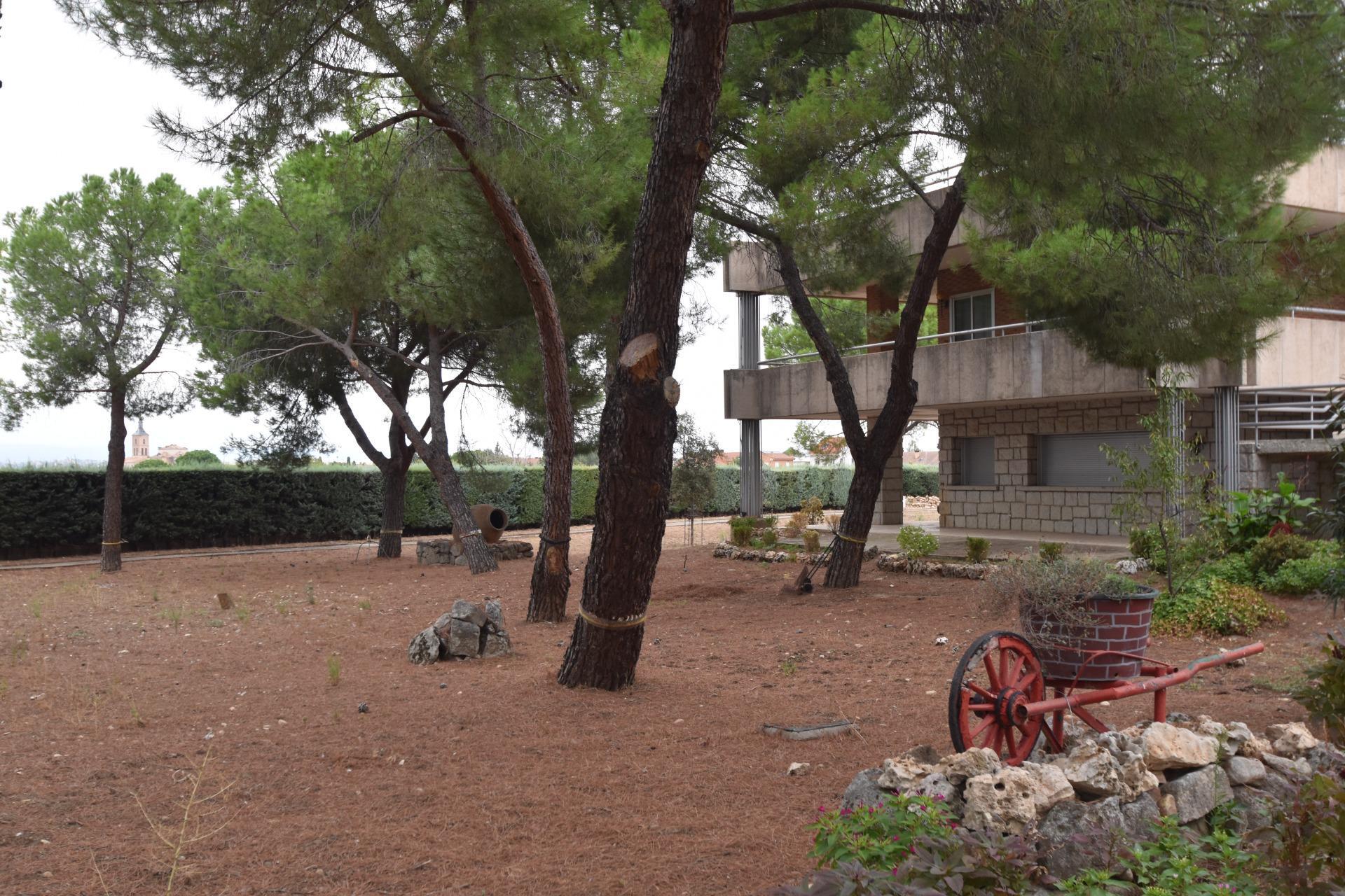 Casas o chalets-Venta-Fuente el Saz de Jarama-1750630-Foto-53