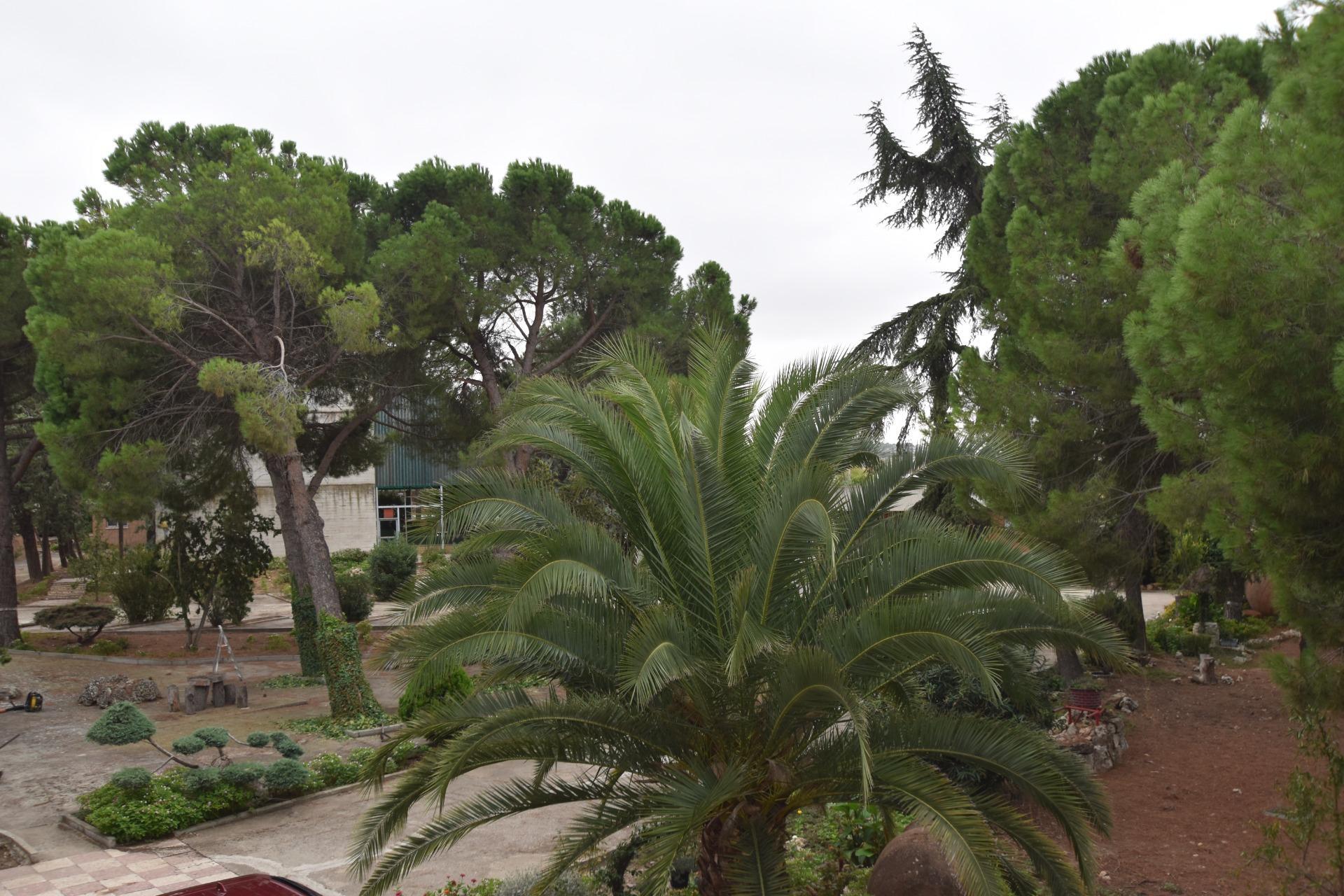 Casas o chalets-Venta-Fuente el Saz de Jarama-1750630-Foto-54