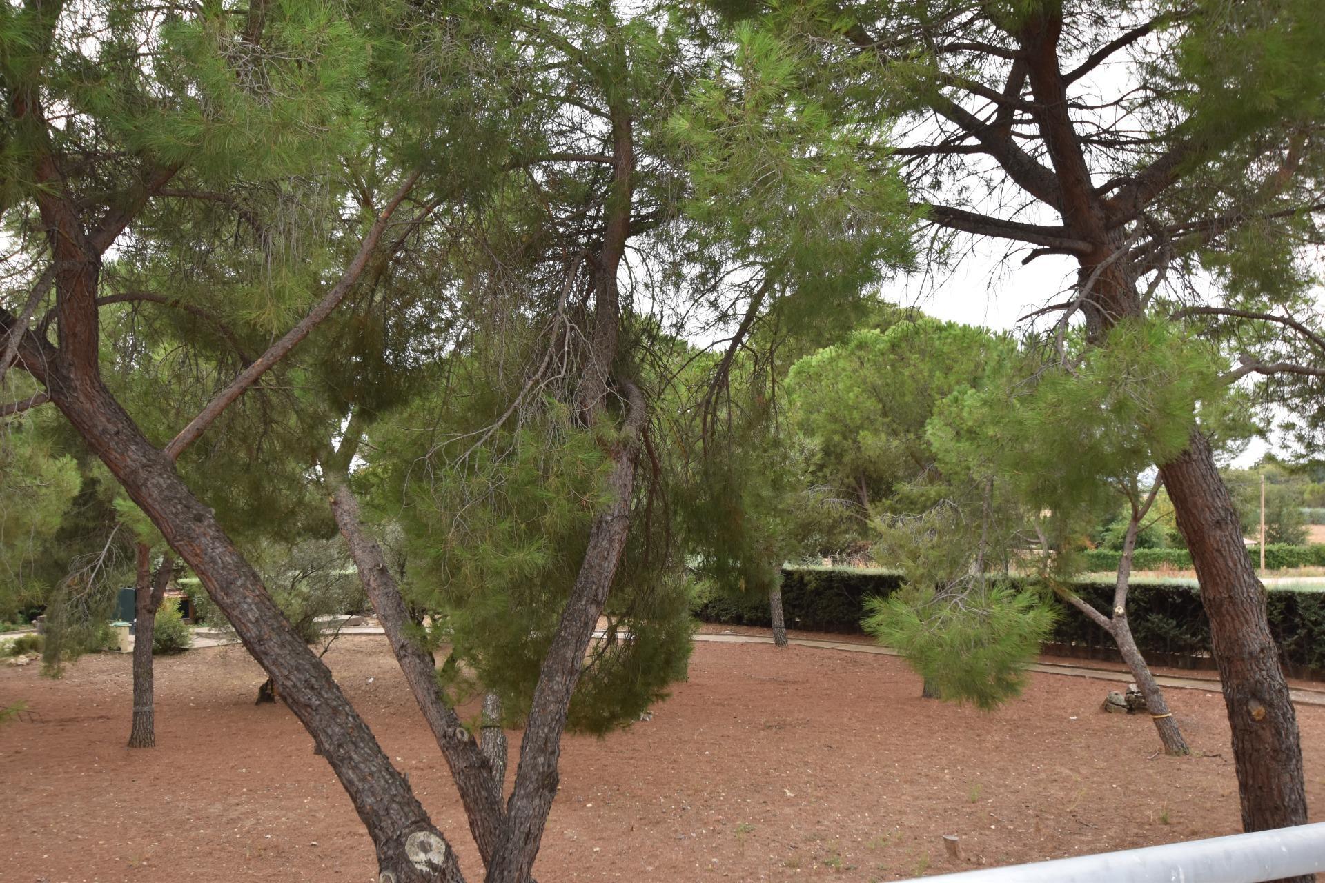 Casas o chalets-Venta-Fuente el Saz de Jarama-1750630-Foto-51