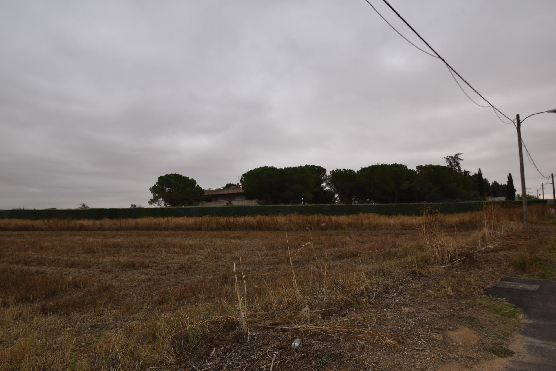 Casas o chalets-Venta-Fuente el Saz de Jarama-1750630-Foto-55