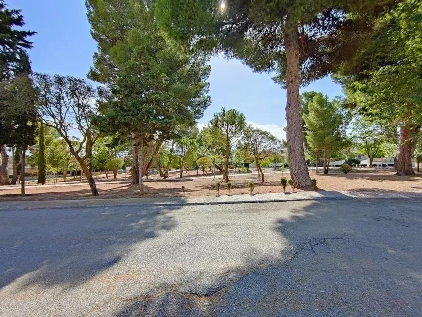 Fincas y solares-Venta-Villa de Otura-1727894-Foto-13