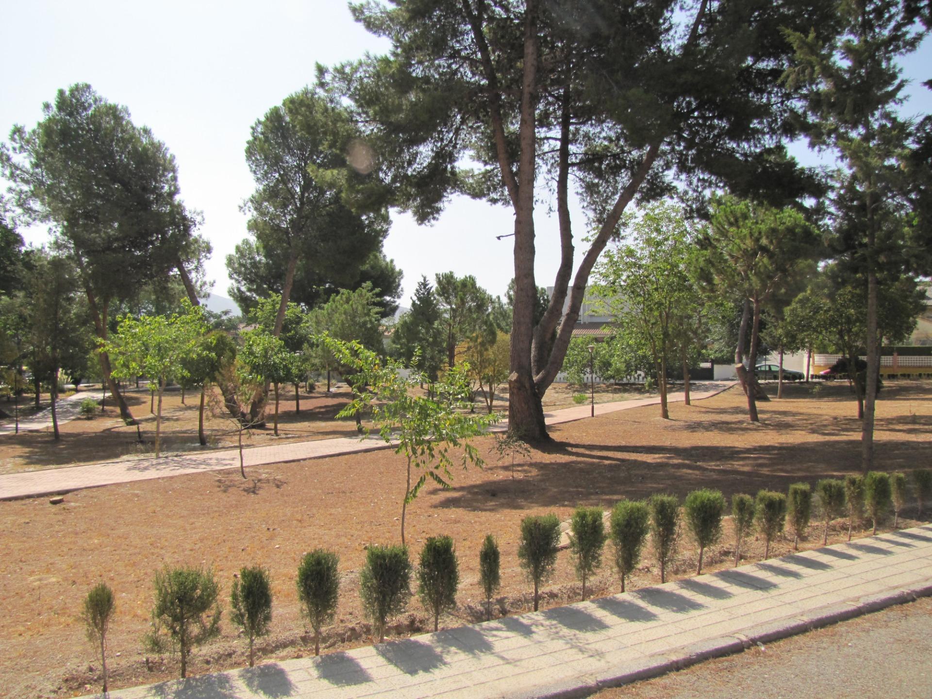 Fincas y solares-Venta-Villa de Otura-1727894-Foto-30
