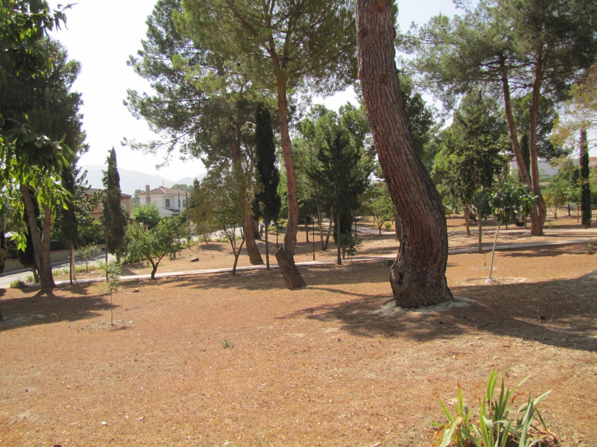Fincas y solares-Venta-Villa de Otura-1727894-Foto-28