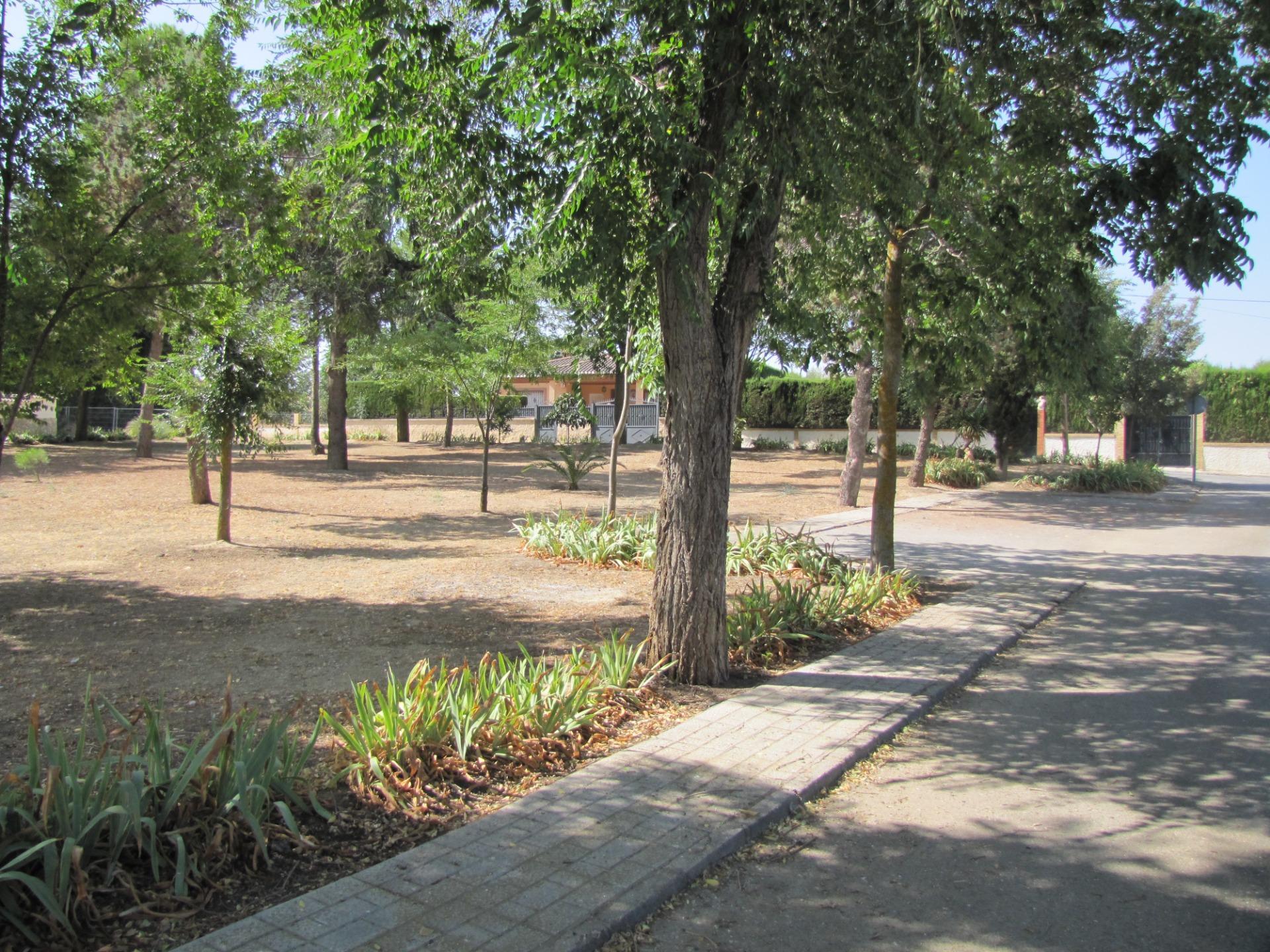 Fincas y solares-Venta-Villa de Otura-1727894-Foto-31