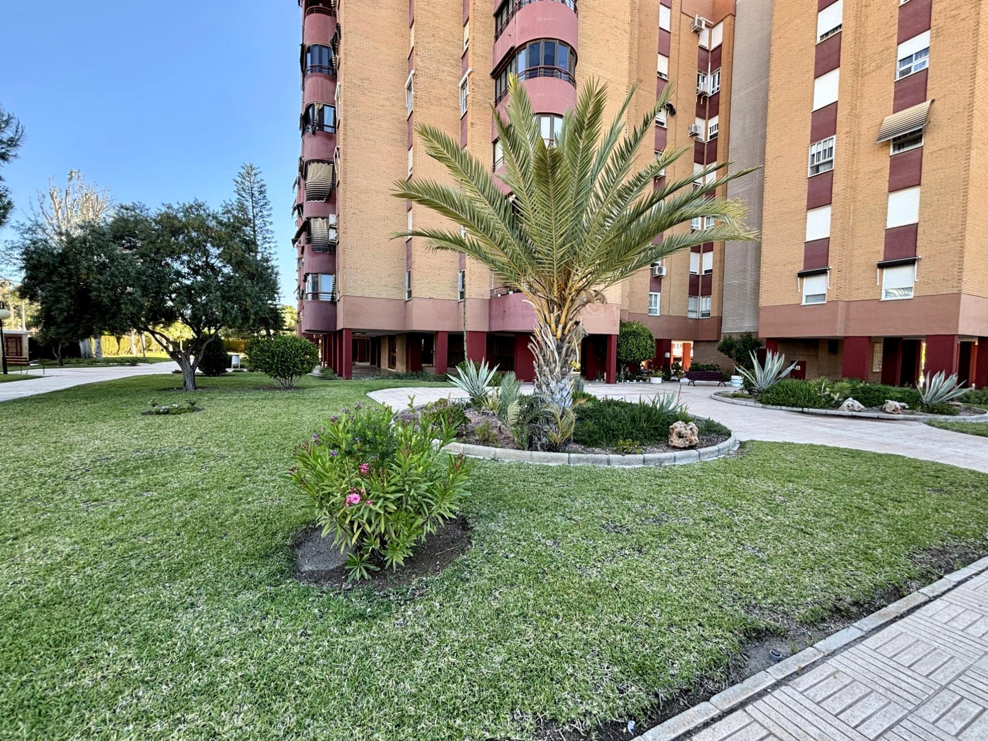 Pisos-Venta-Alicante-1729149-Foto-23