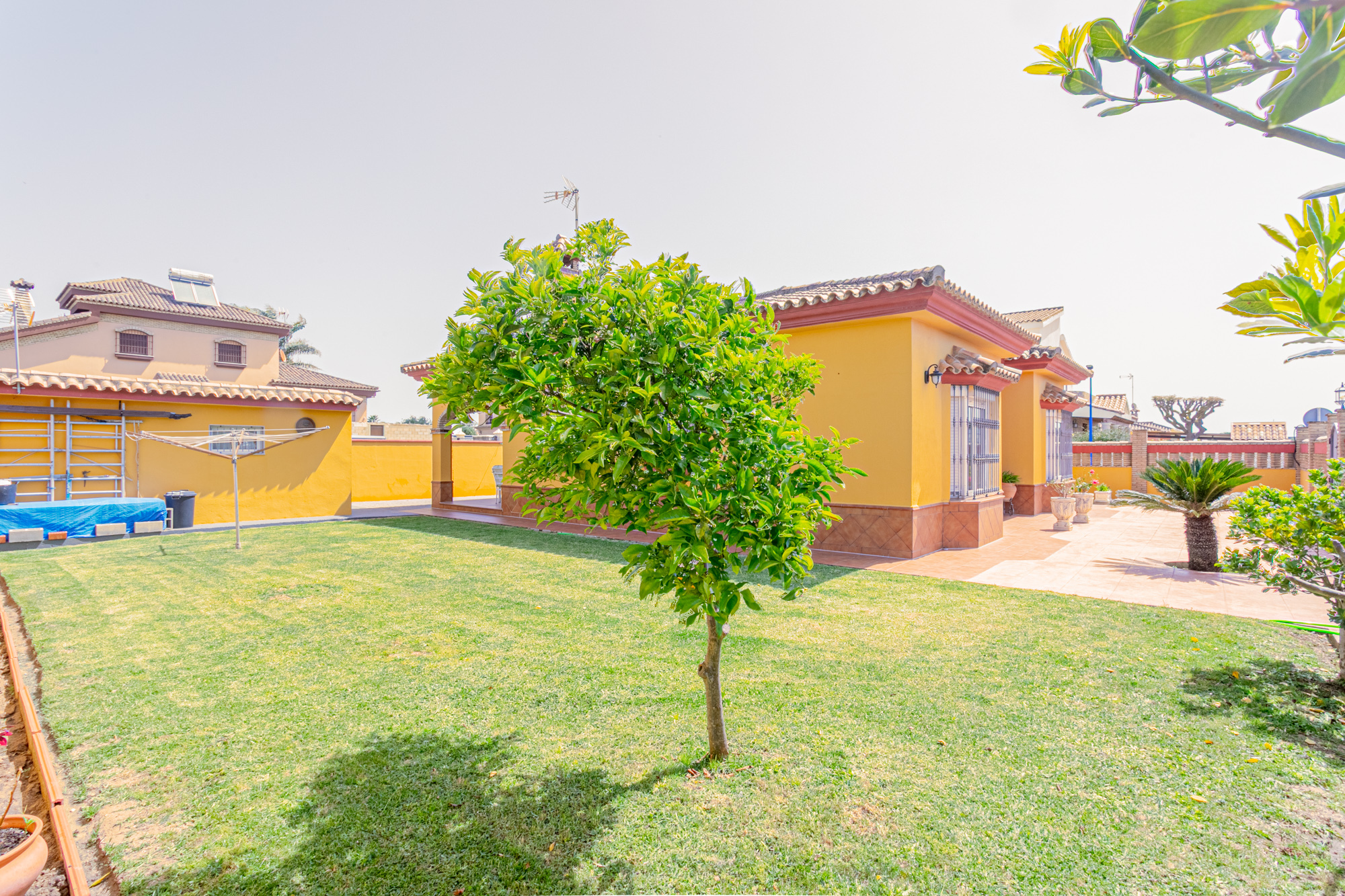 Casas o chalets-Venta-Chiclana de la Frontera-1730362-Foto-3