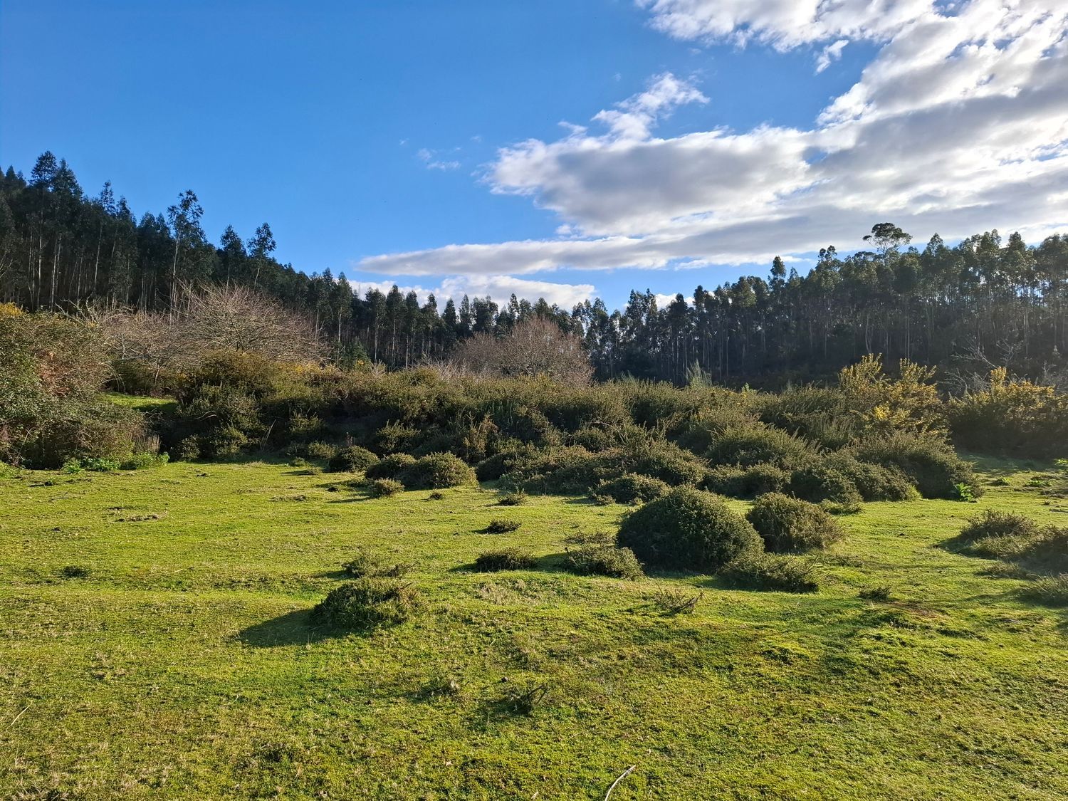 Fincas y solares-Venta-1654524