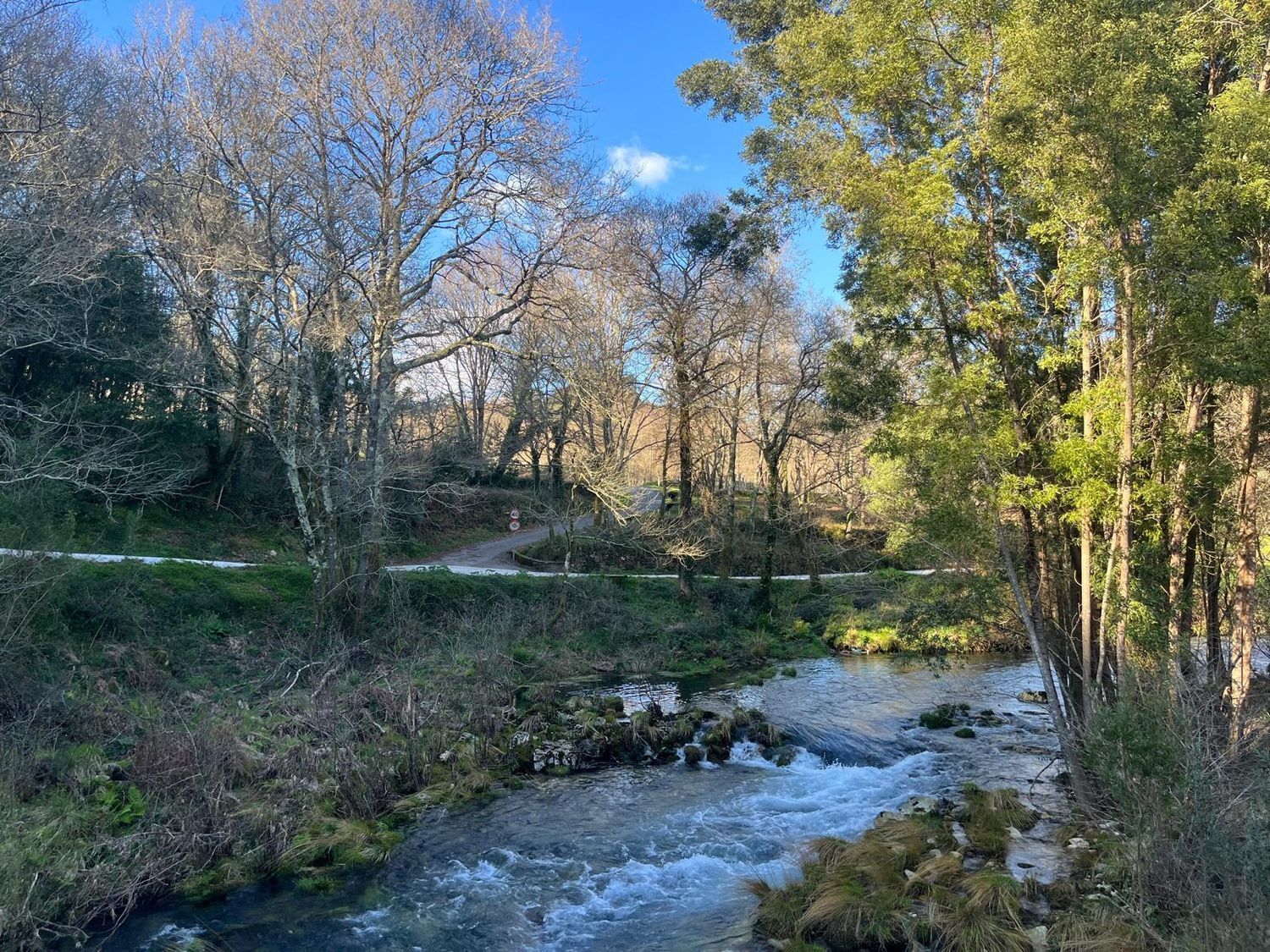 Fincas y solares-Venta-Cabrera d