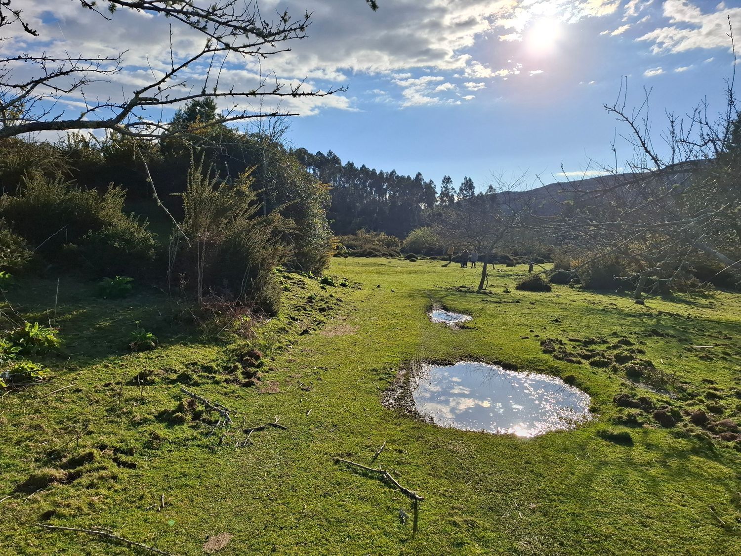 Fincas y solares-Venta-Cabrera d