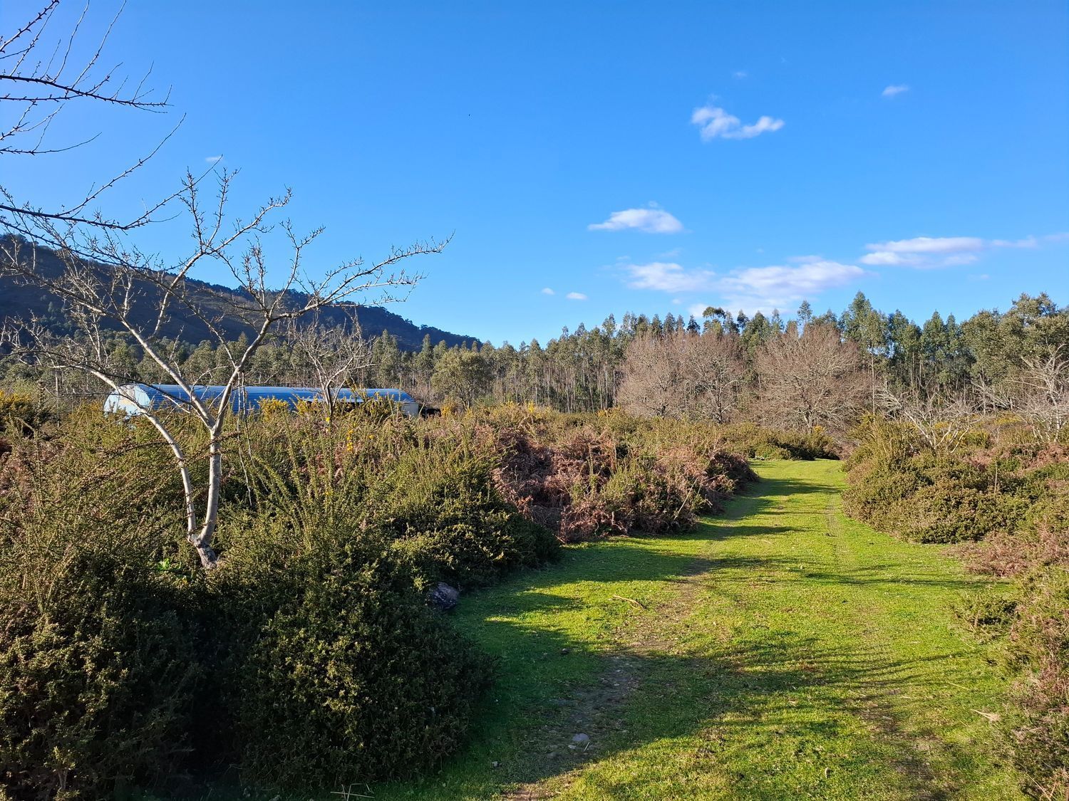 Fincas y solares-Venta-Cabrera d