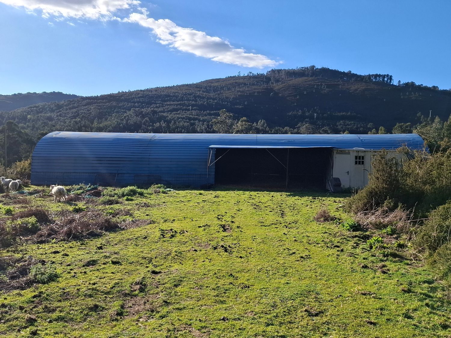Fincas y solares-Venta-Cabrera d