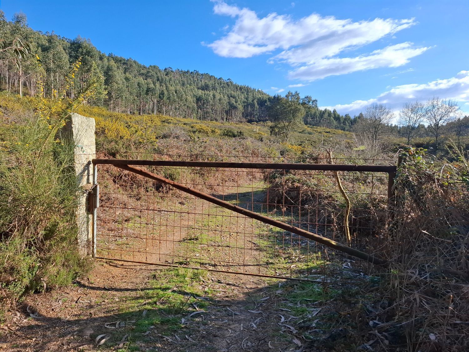 Fincas y solares-Venta-Cabrera d