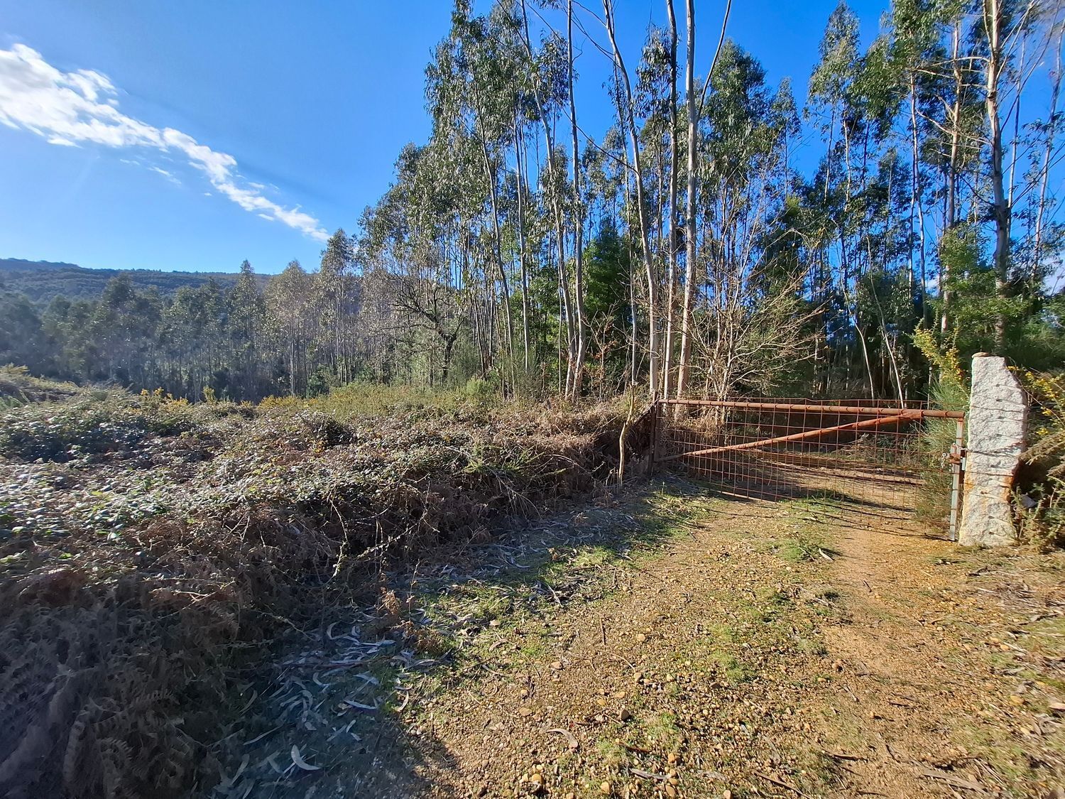 Fincas y solares-Venta-Cabrera d