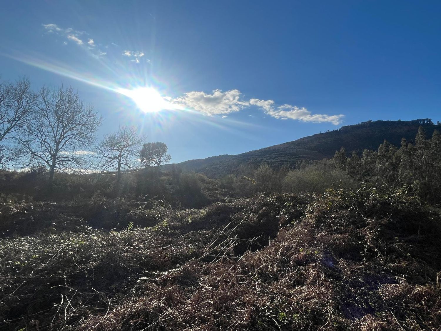 Fincas y solares-Venta-Cabrera d