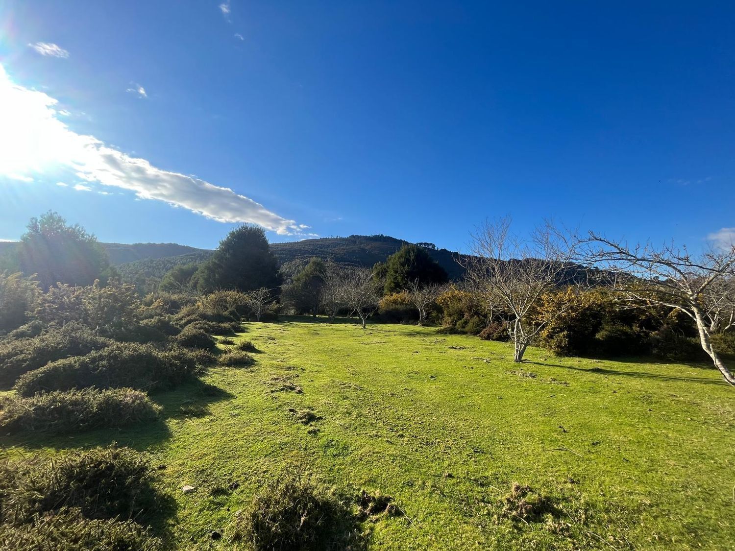 Fincas y solares-Venta-Cabrera d