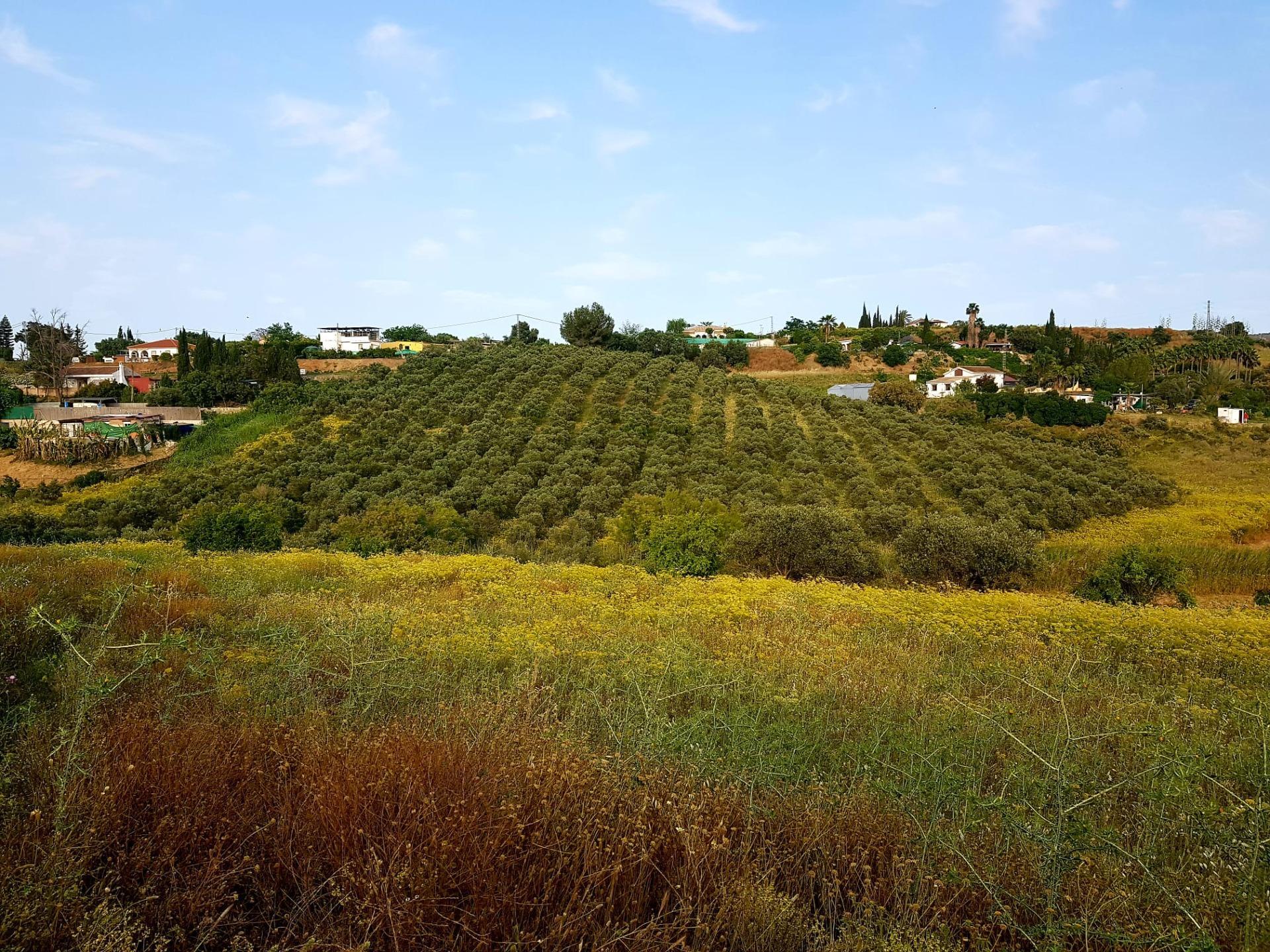 Suelo en venta, CÃ¡rtama, MÃ¡laga, MÃ¡laga