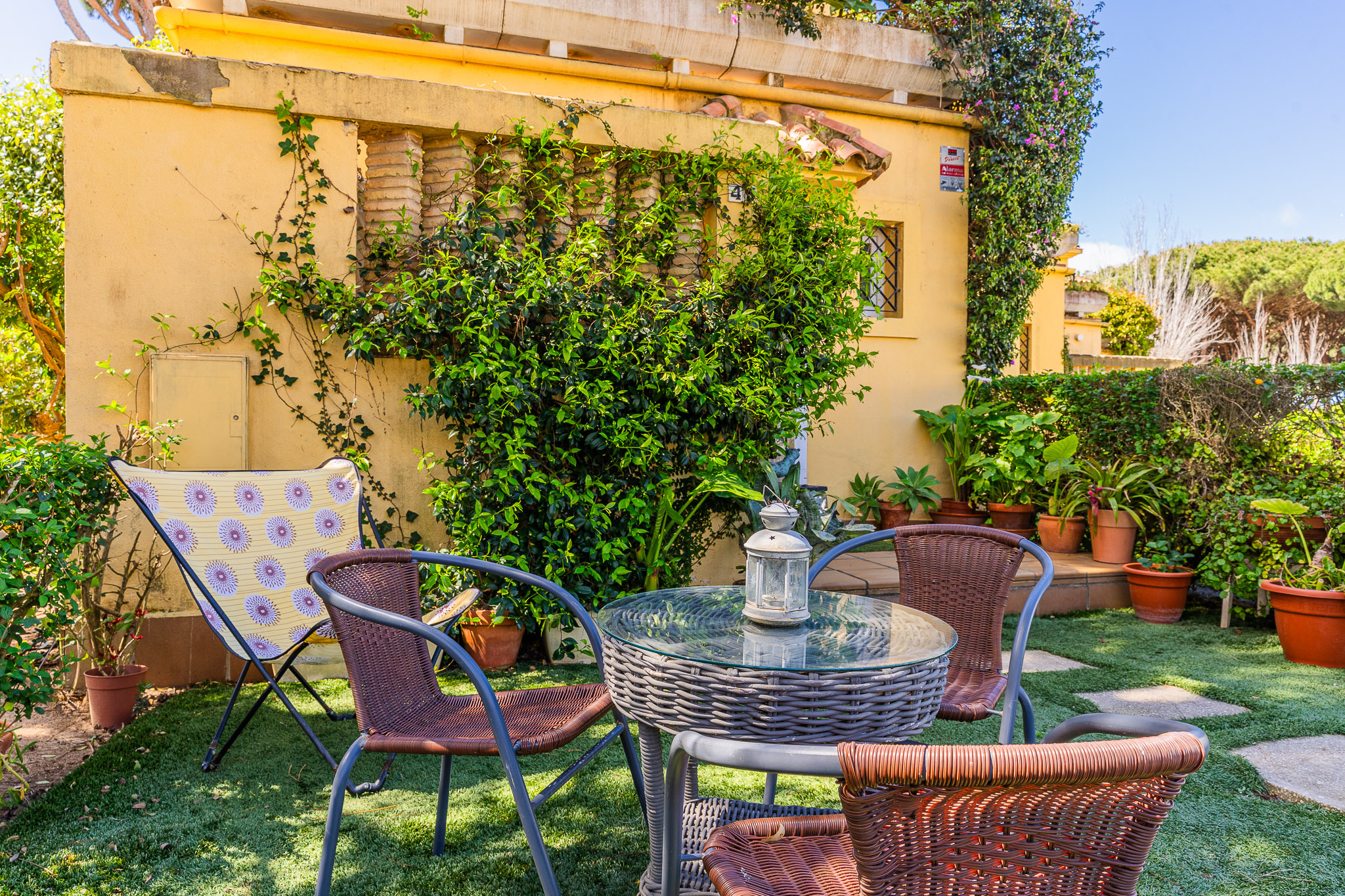 Casas o chalets-Venta-Chiclana de la Frontera-1727063-Foto-9