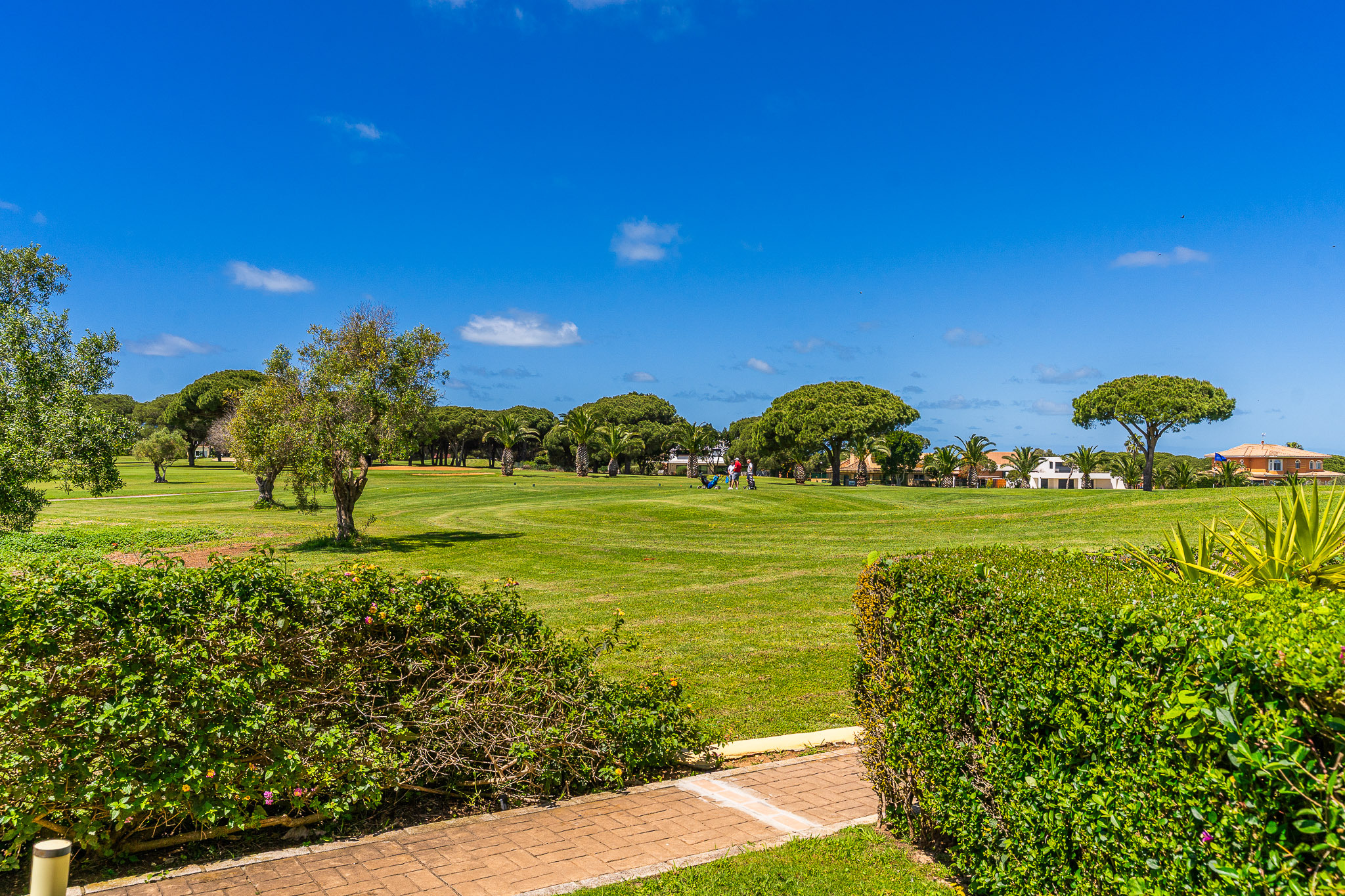 Casas o chalets-Venta-Chiclana de la Frontera-1727063-Foto-55