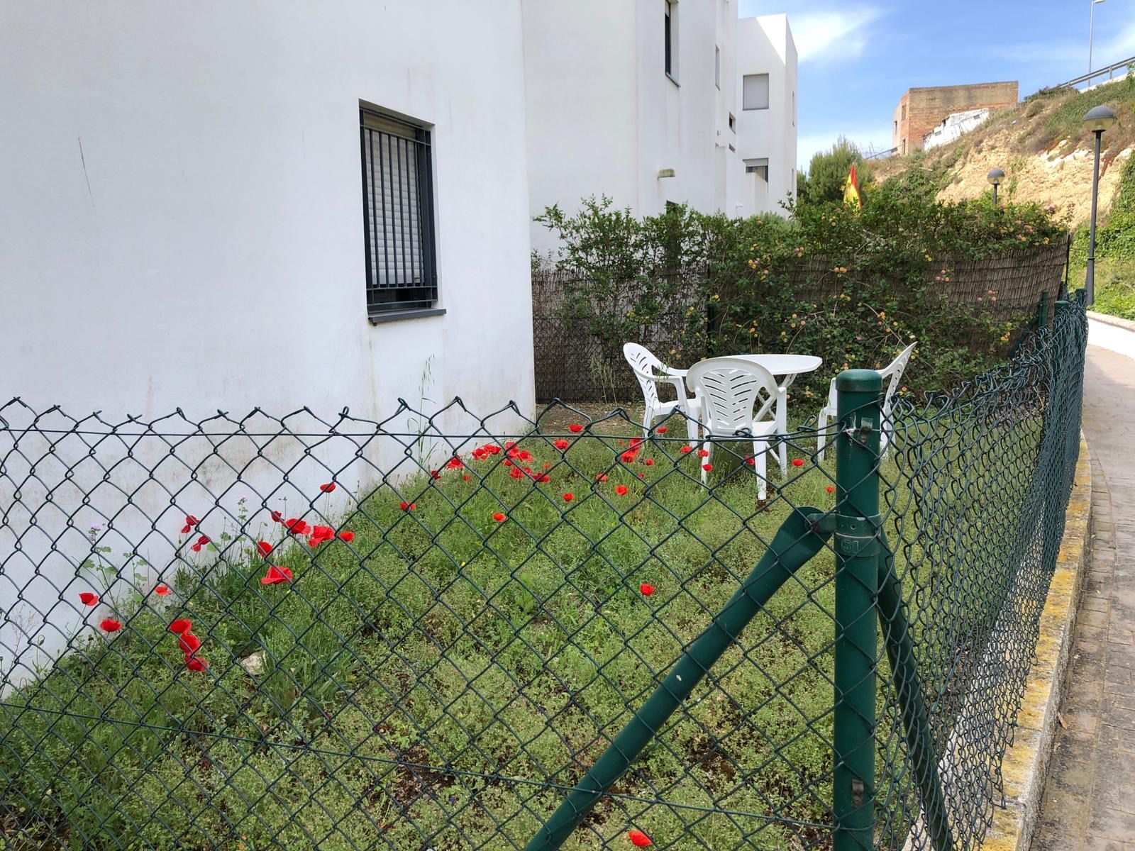 Pisos-Venta-Conil de la Frontera-1729689-Foto-16
