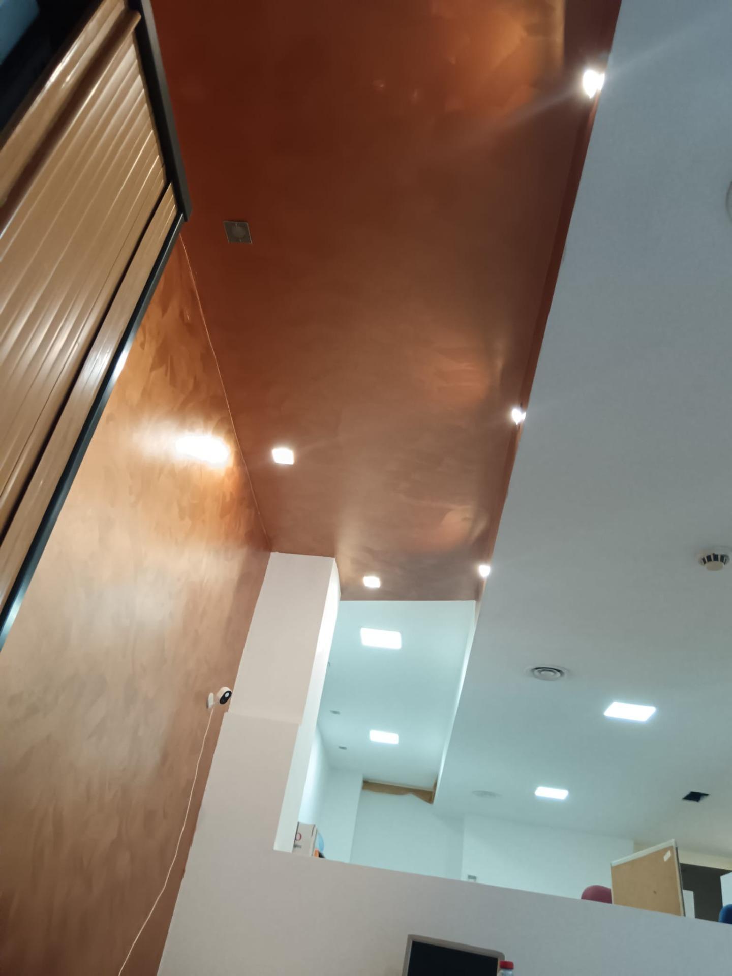 Negocios-Alquiler-Murcia-1730359-Foto-10