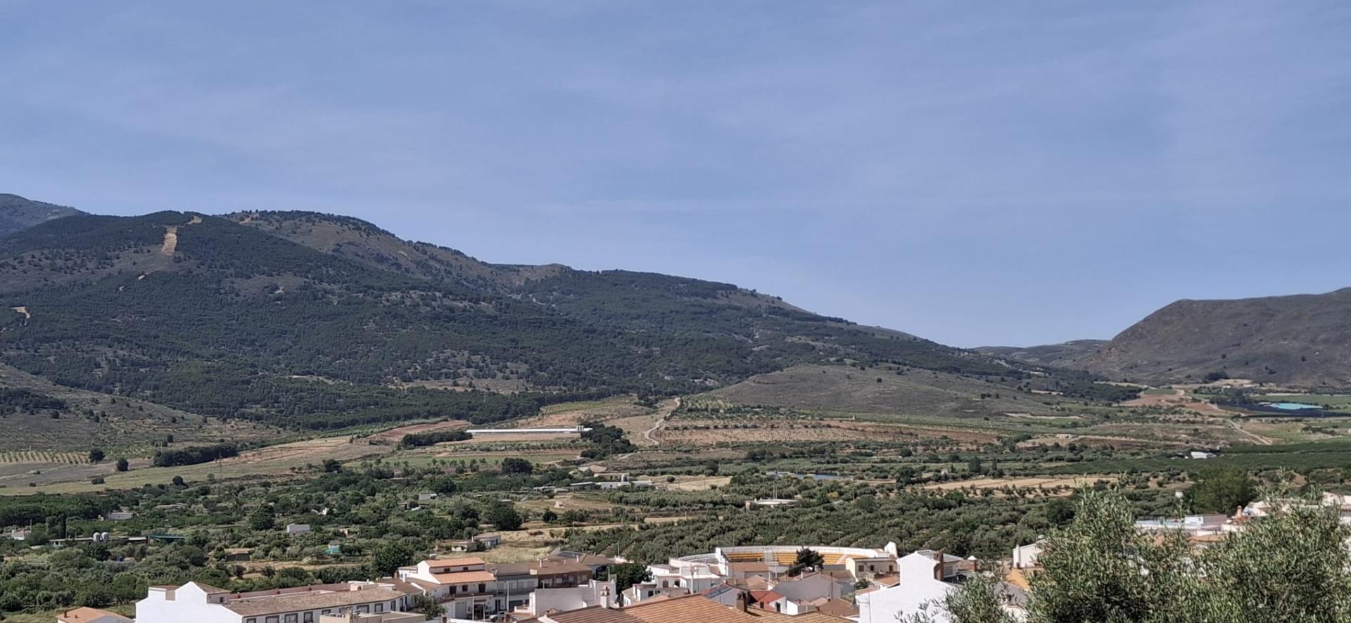 Fincas y solares-Venta-LÃ¡ujar de Andarax-1746156-Foto-7